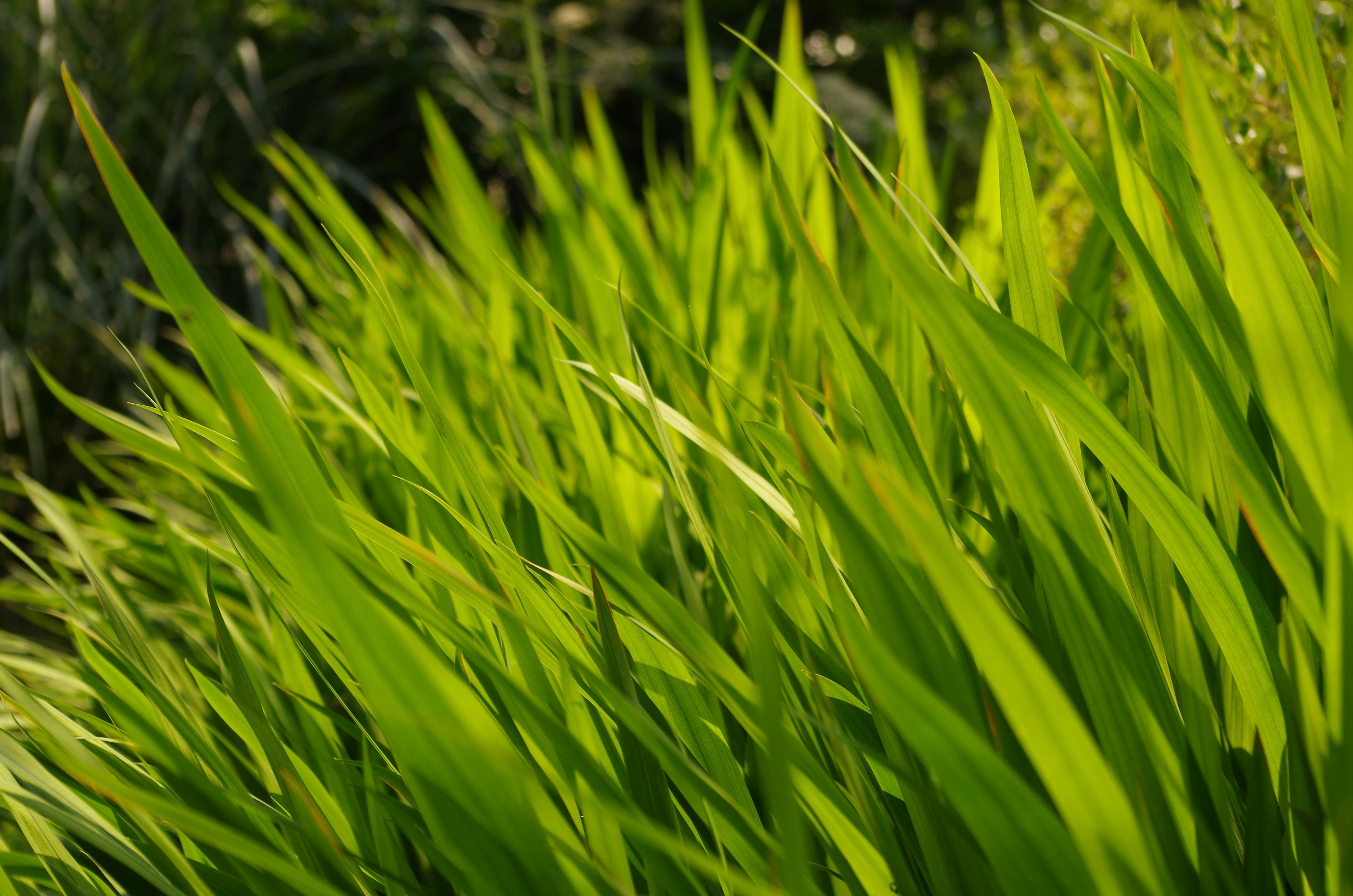 Photo by bigstarworkroom