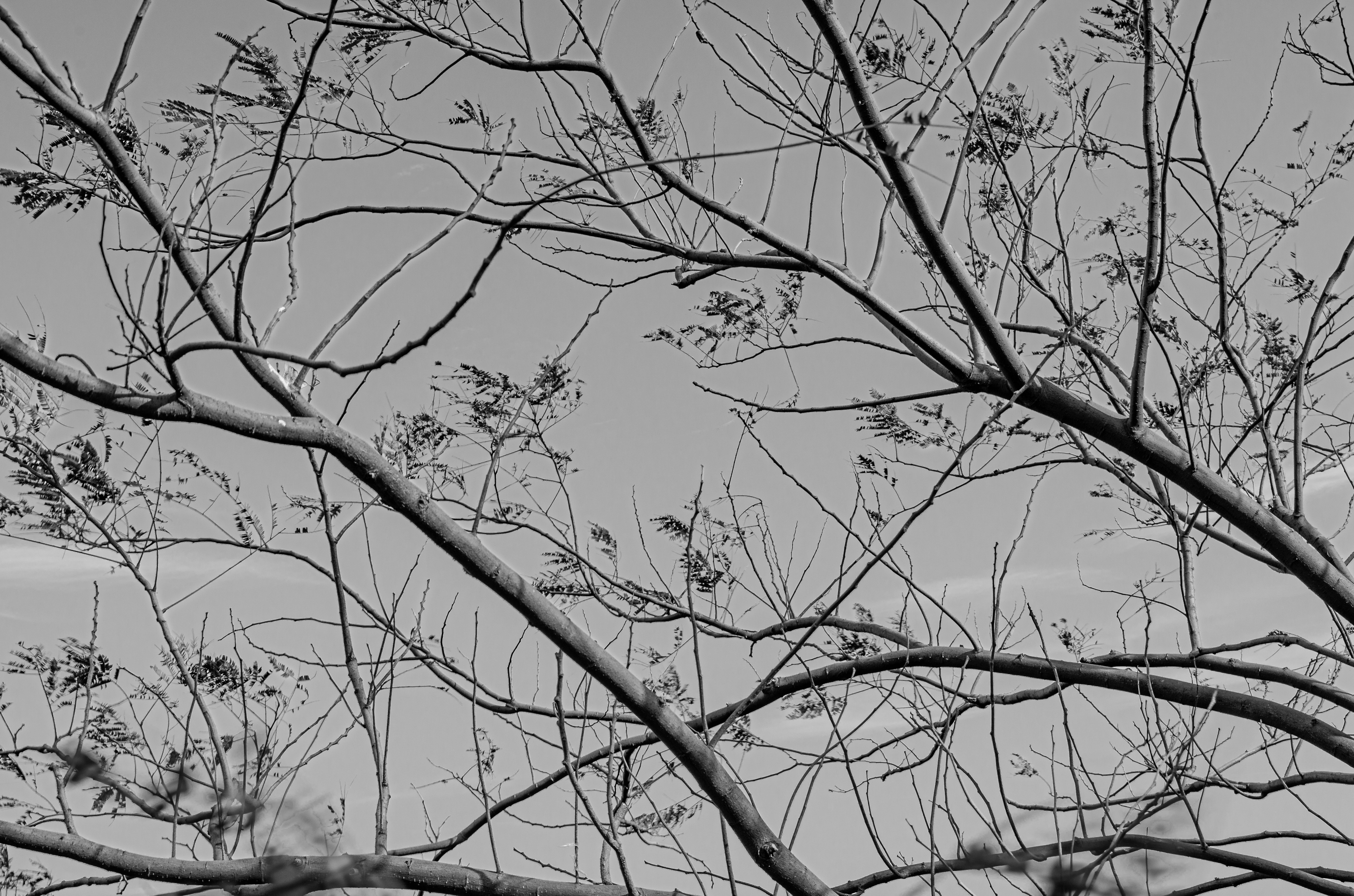 Photo by bigstarworkroom