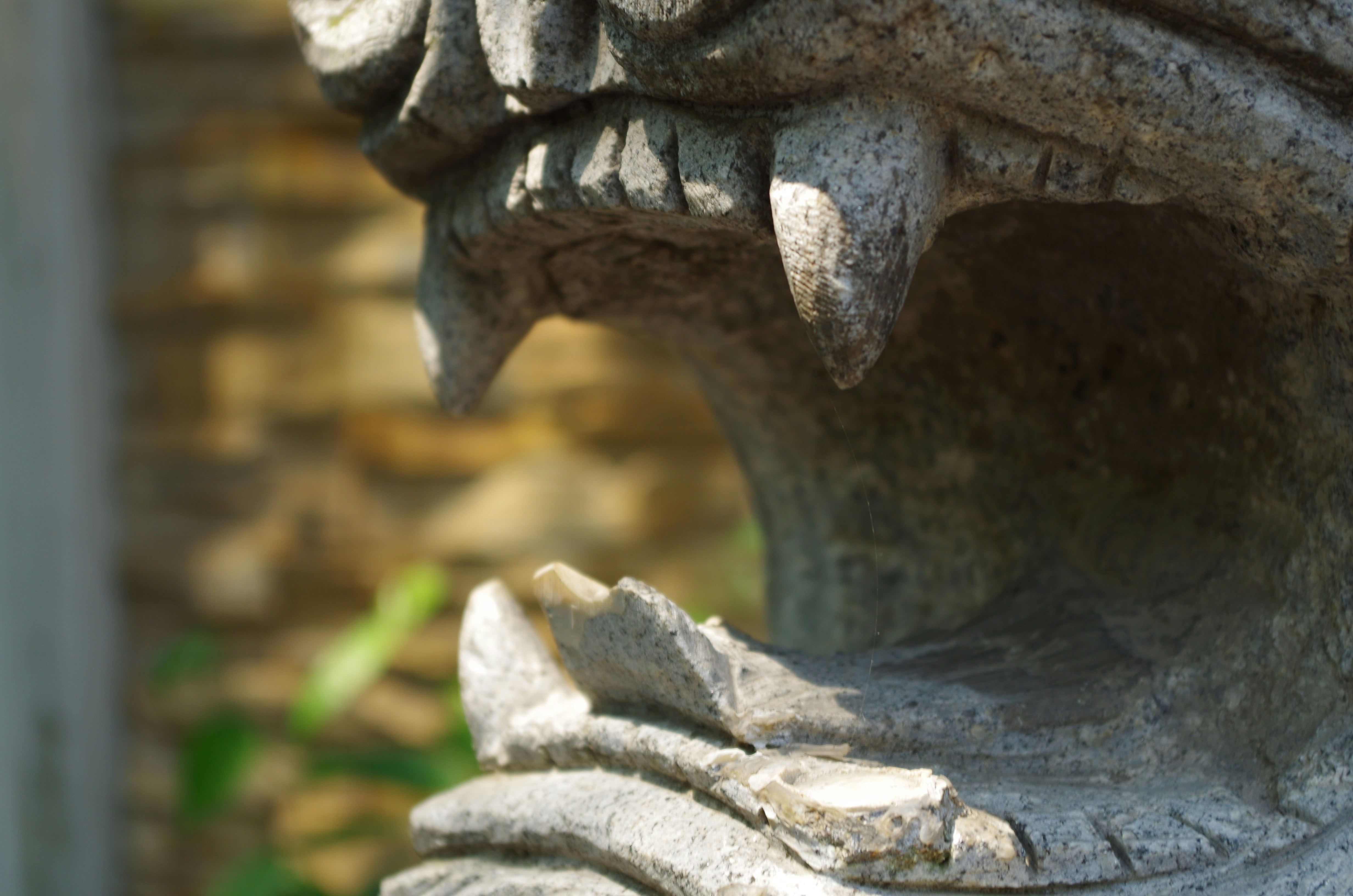 Photo by bigstarworkroom