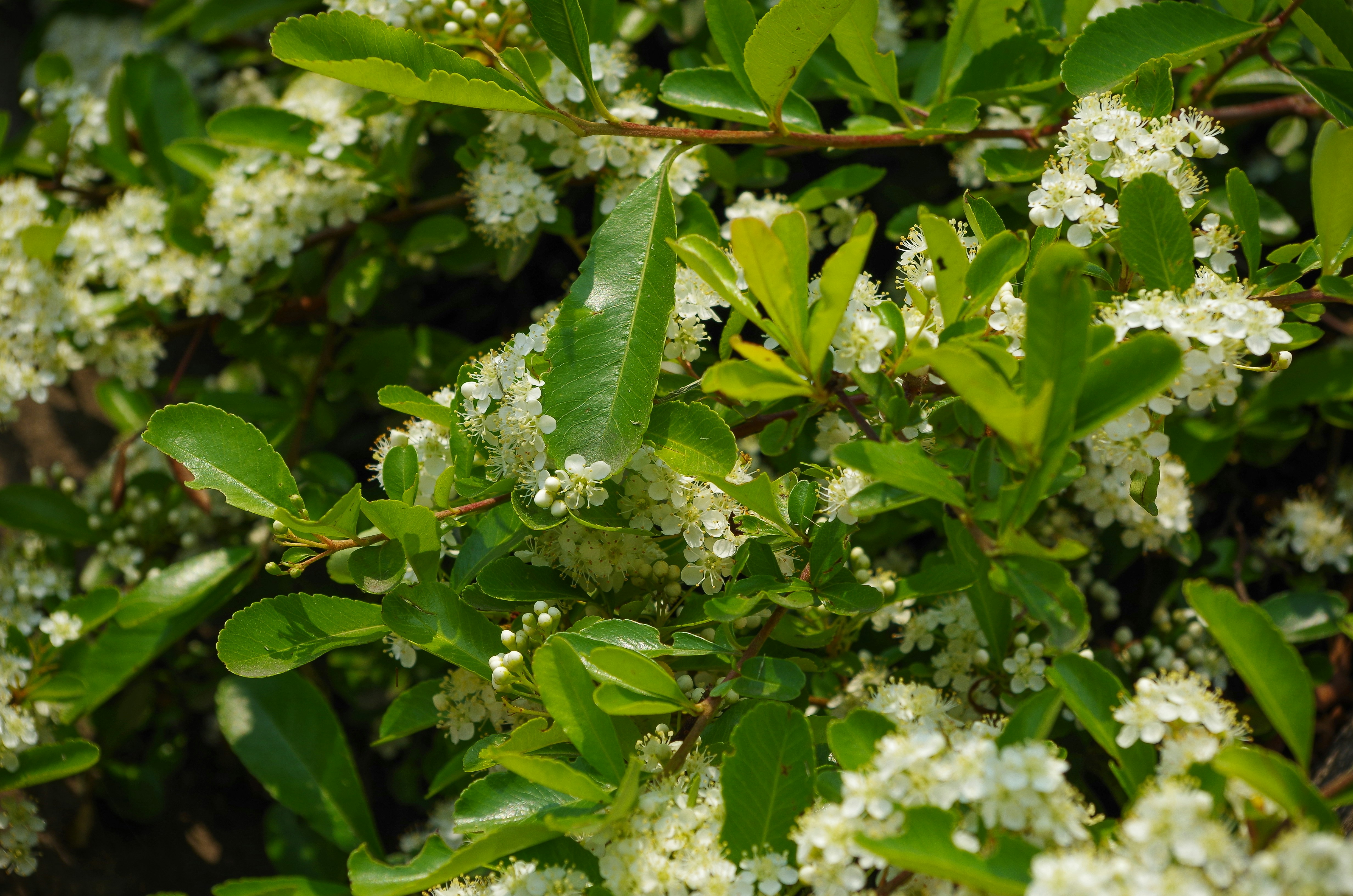 Photo by bigstarworkroom