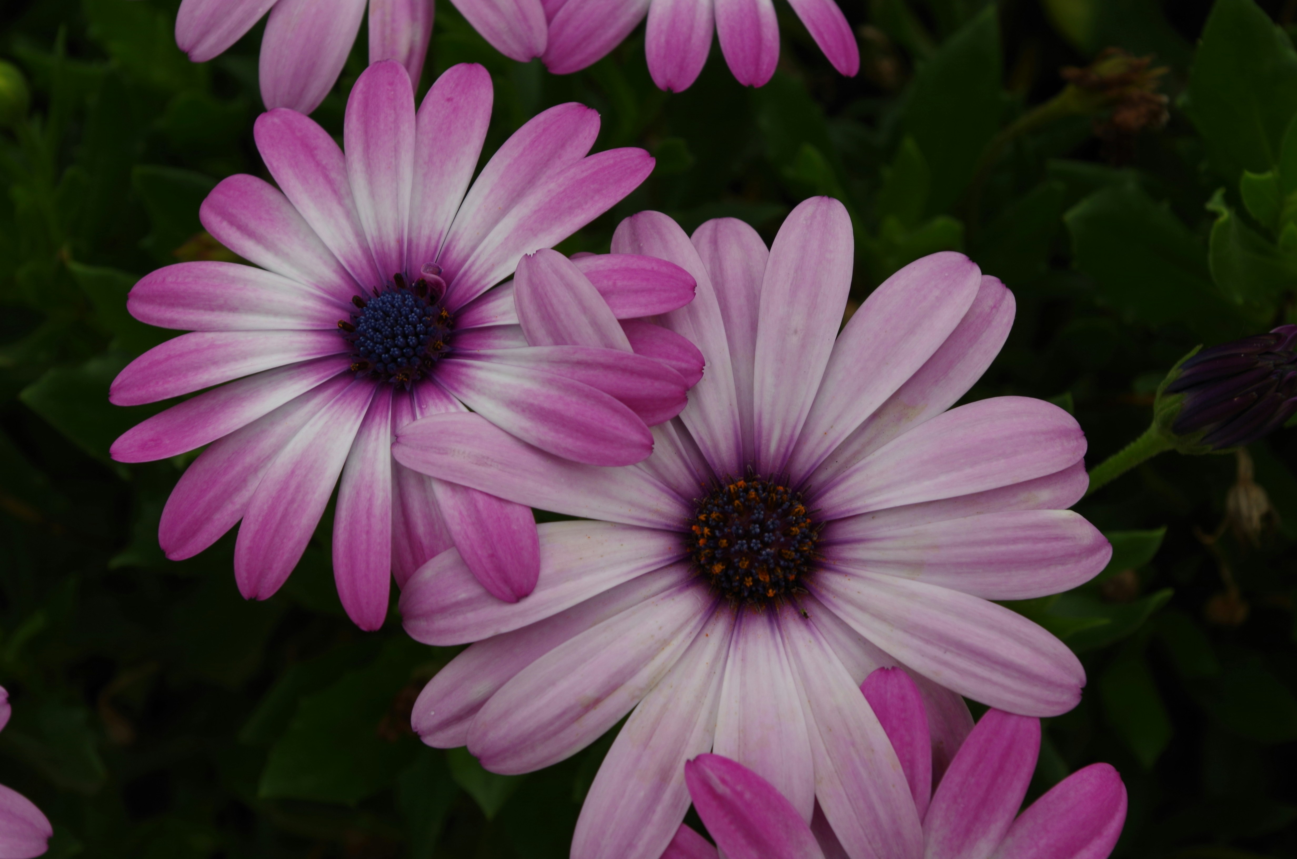 Photo by bigstarworkroom