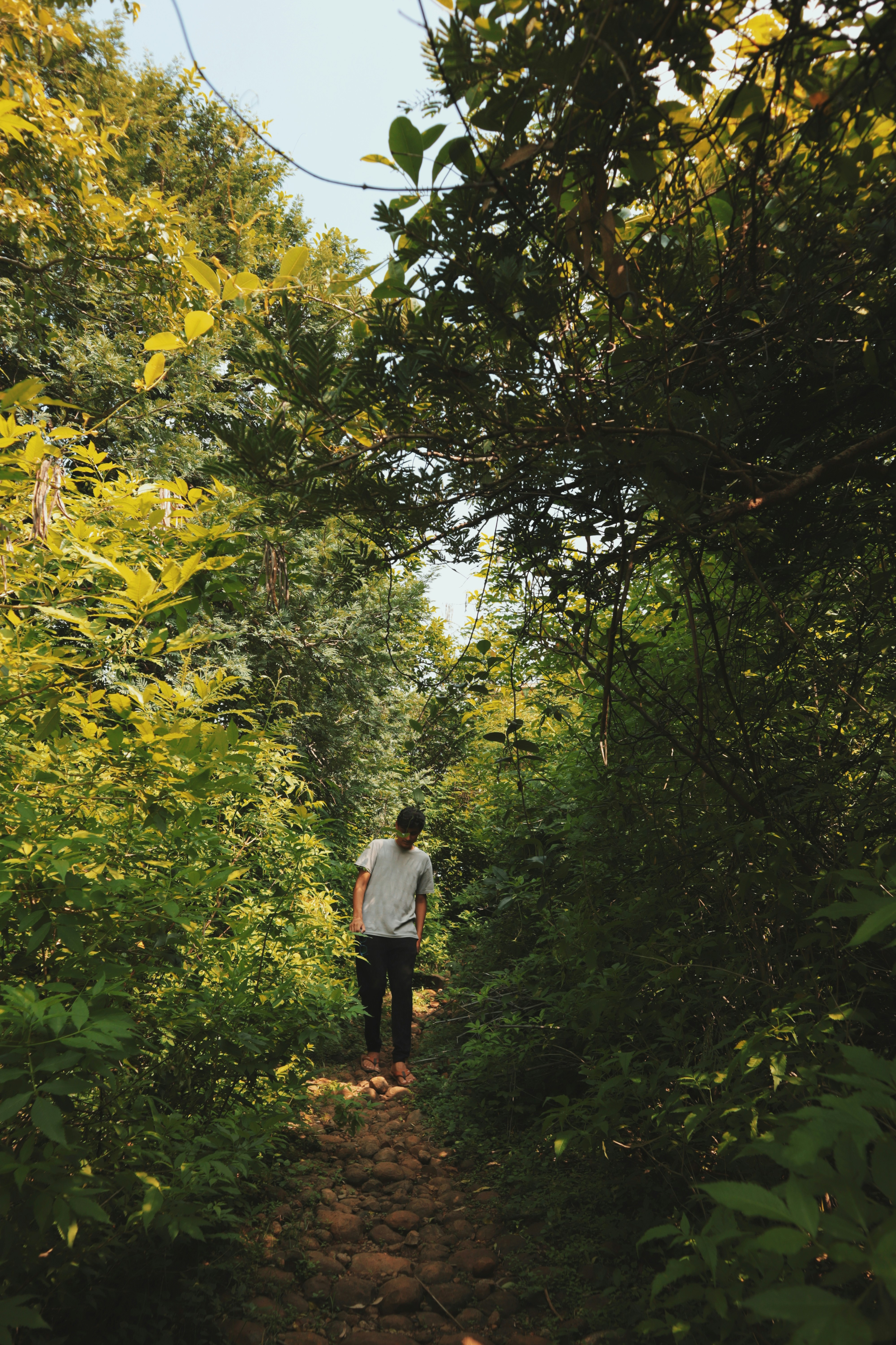 Photo by sincegameon