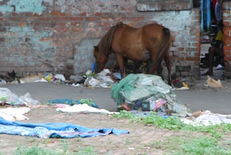 A brown horse stands near a brick wall in an area scattered with litter and debris. The scene includes discarded plastic, bottles, and other waste materials. Nearby, a dog lies on the ground, and a person is partially visible sitting behind a broken wall. The environment appears urban and neglected.