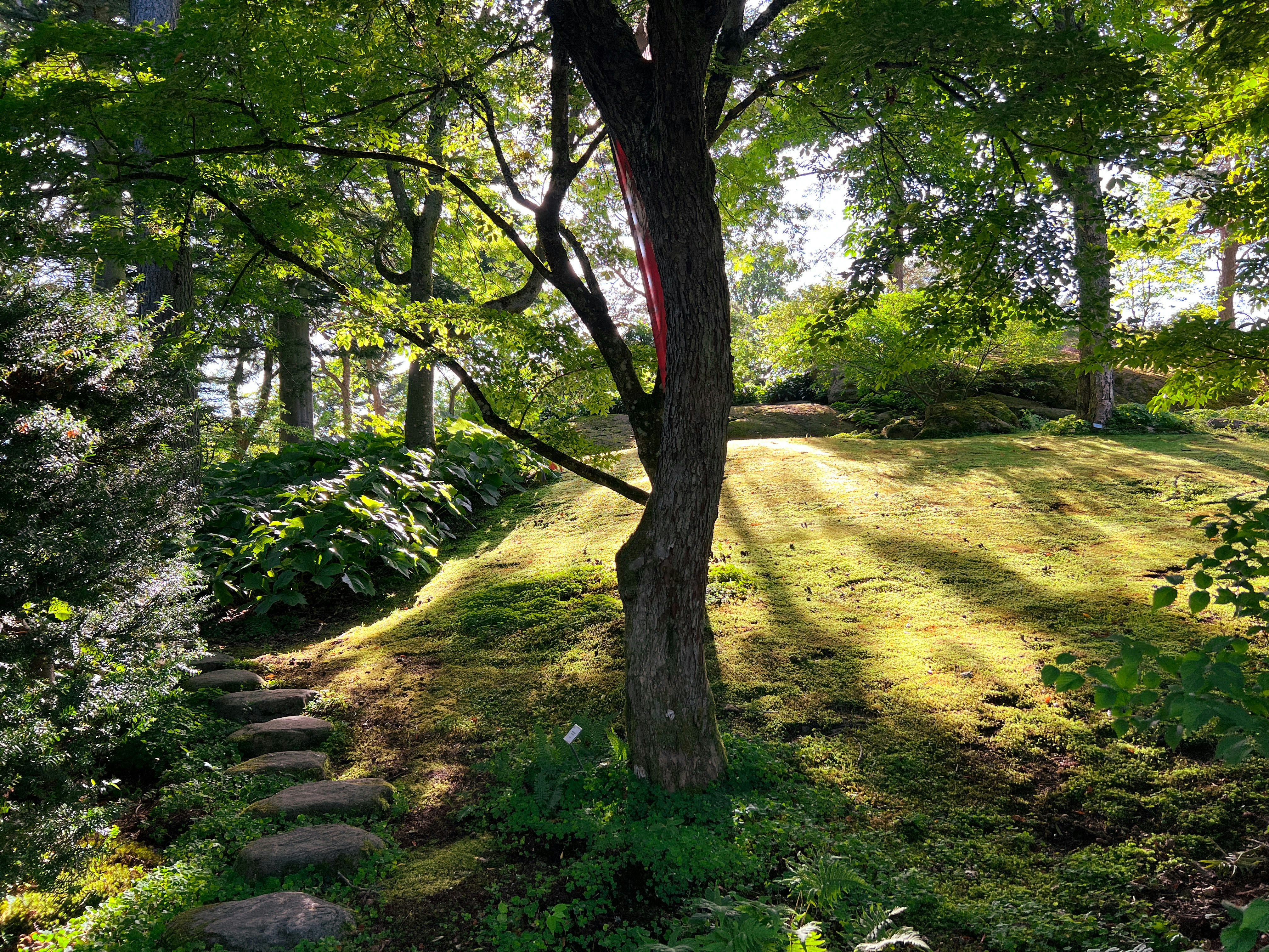 Photo by rachelmcgrane