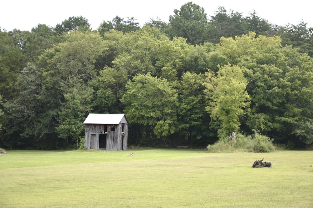 a shed in a field with trees in the background