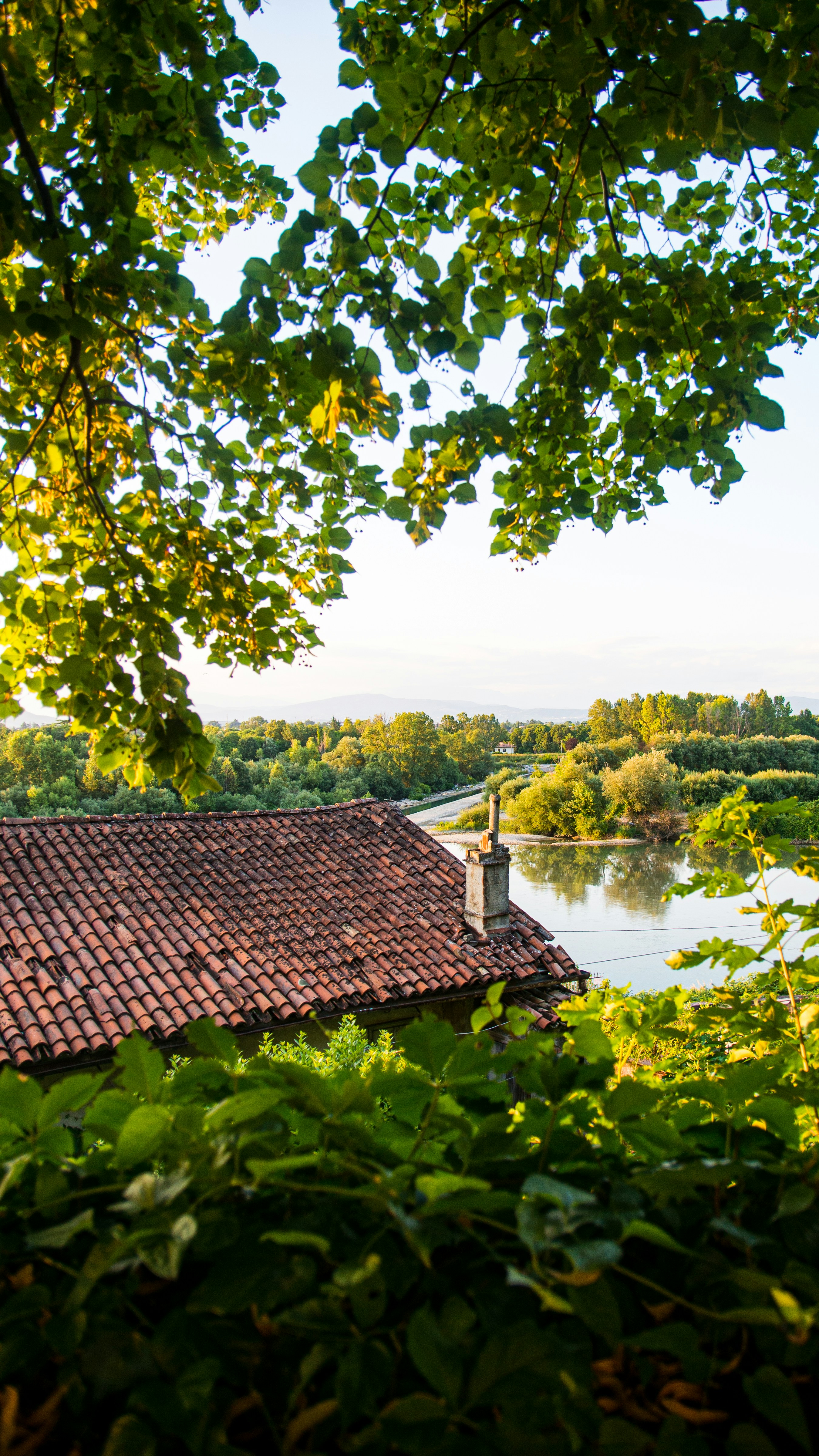 une vue d’une rivière et d’une maison à travers quelques arbres
