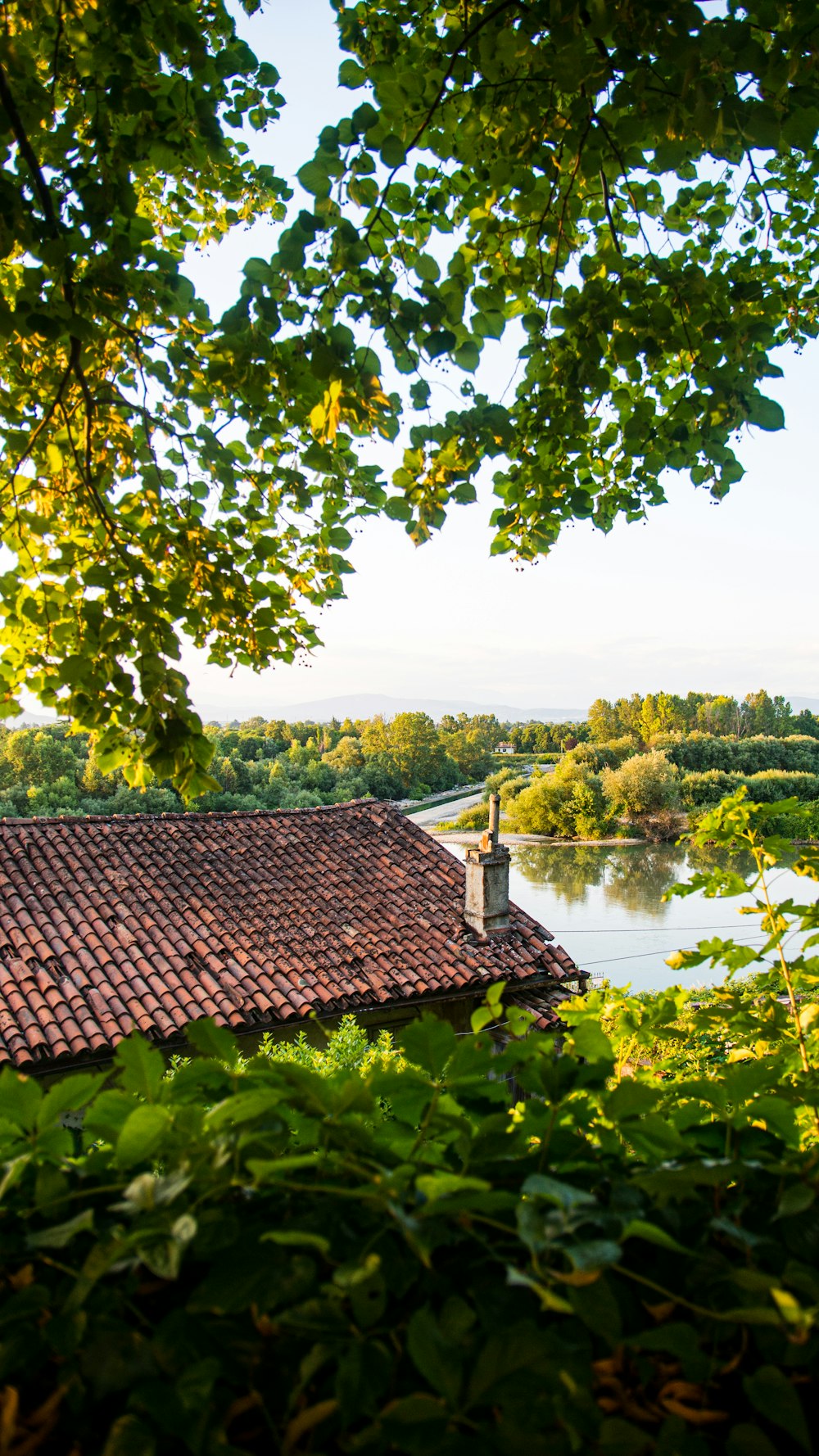 a view of a river and a house through some trees