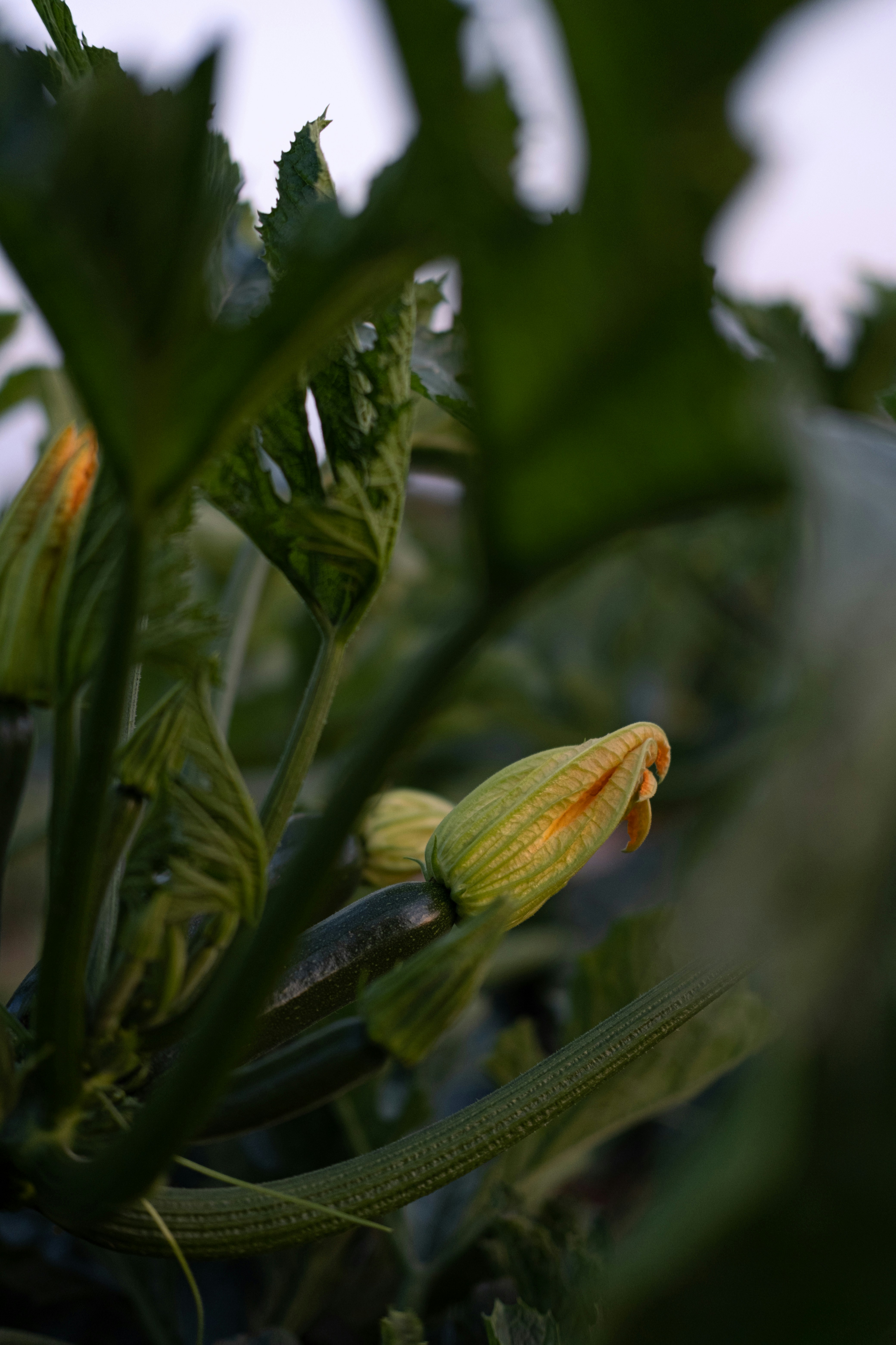 Photo by julien_daga