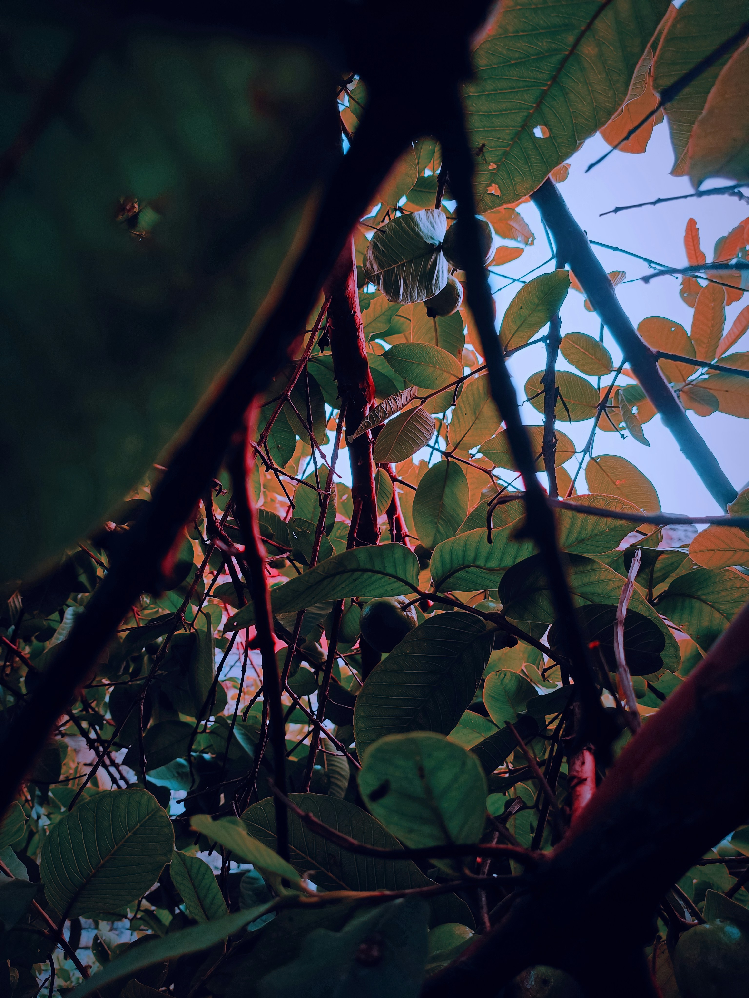 Photo by mayank_singh_