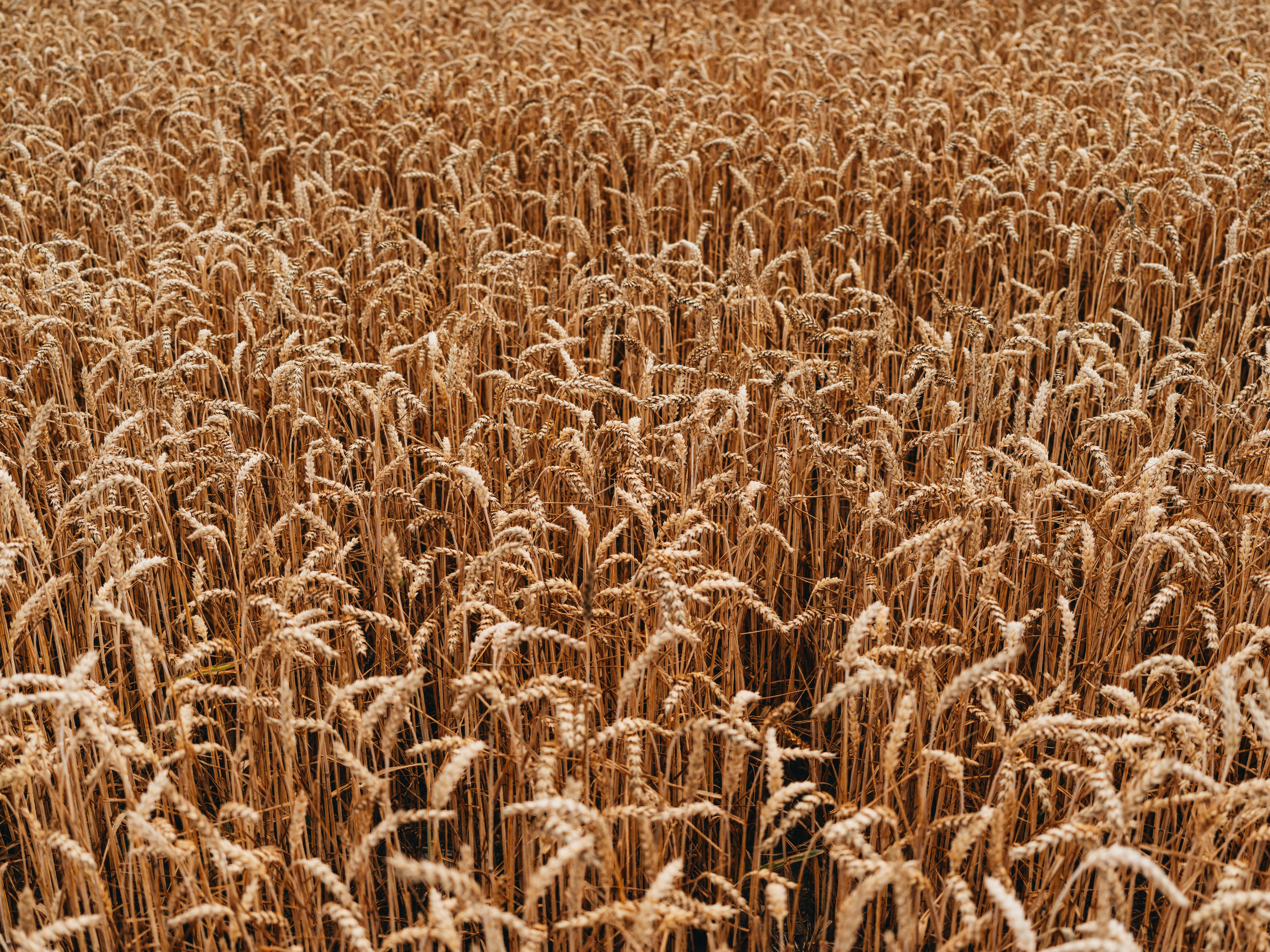 Photo by egorkomarov