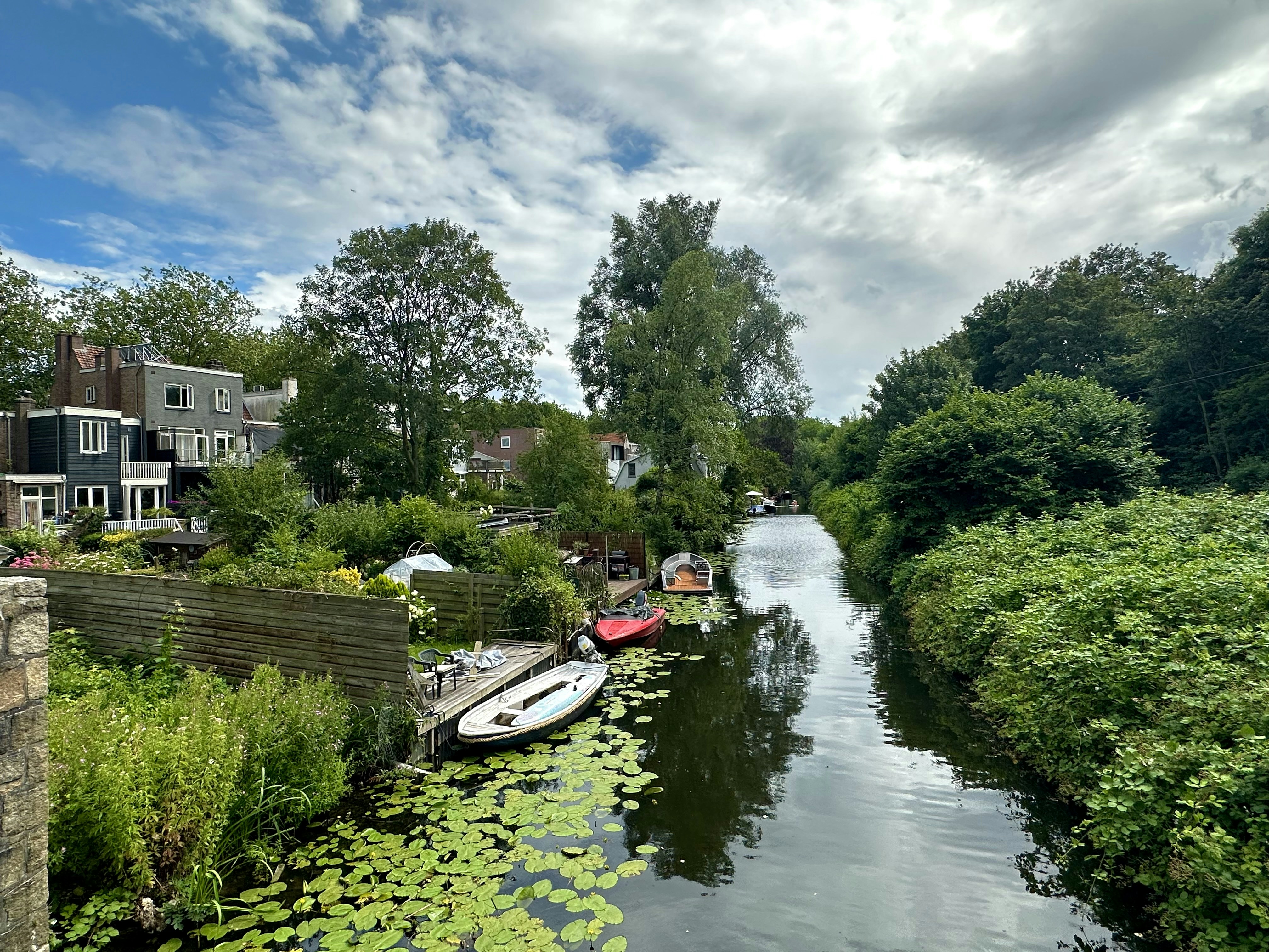 a river running through a lush green forest, Tranquil Waters of Amsterdam: A Serene Escape