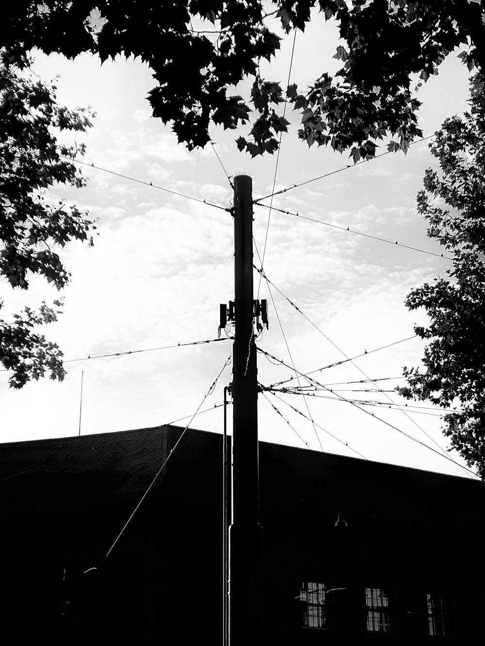 a black and white photo of a telephone pole