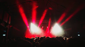 A panoramic view of a packed venue illuminated by stage lights during a memorable concert night.
