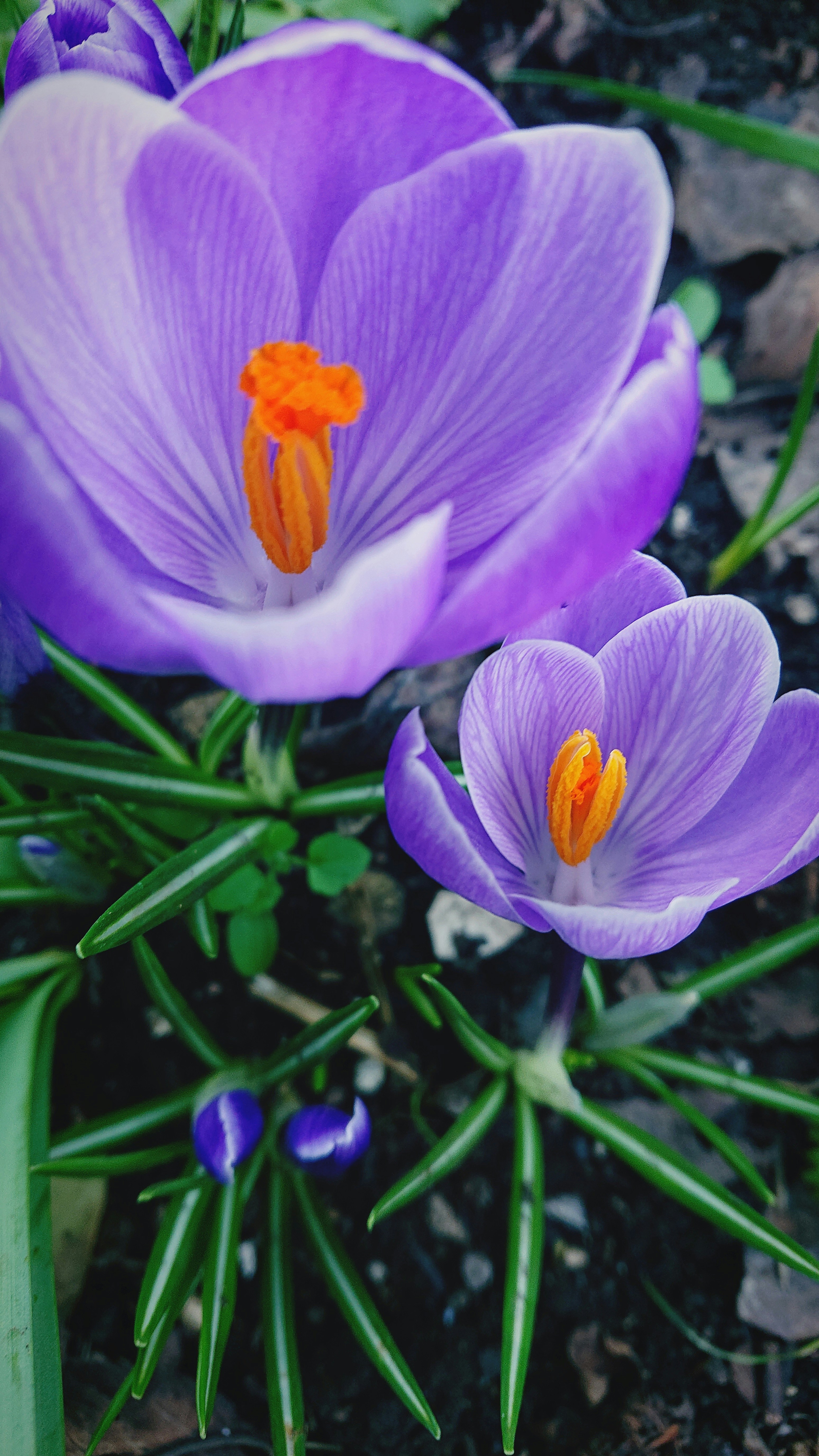 Photo by amyw585
