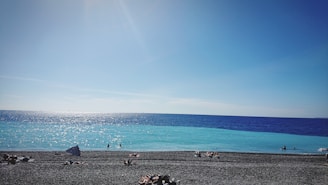 Scenic beach view with clear blue water and a bright sunny sky.