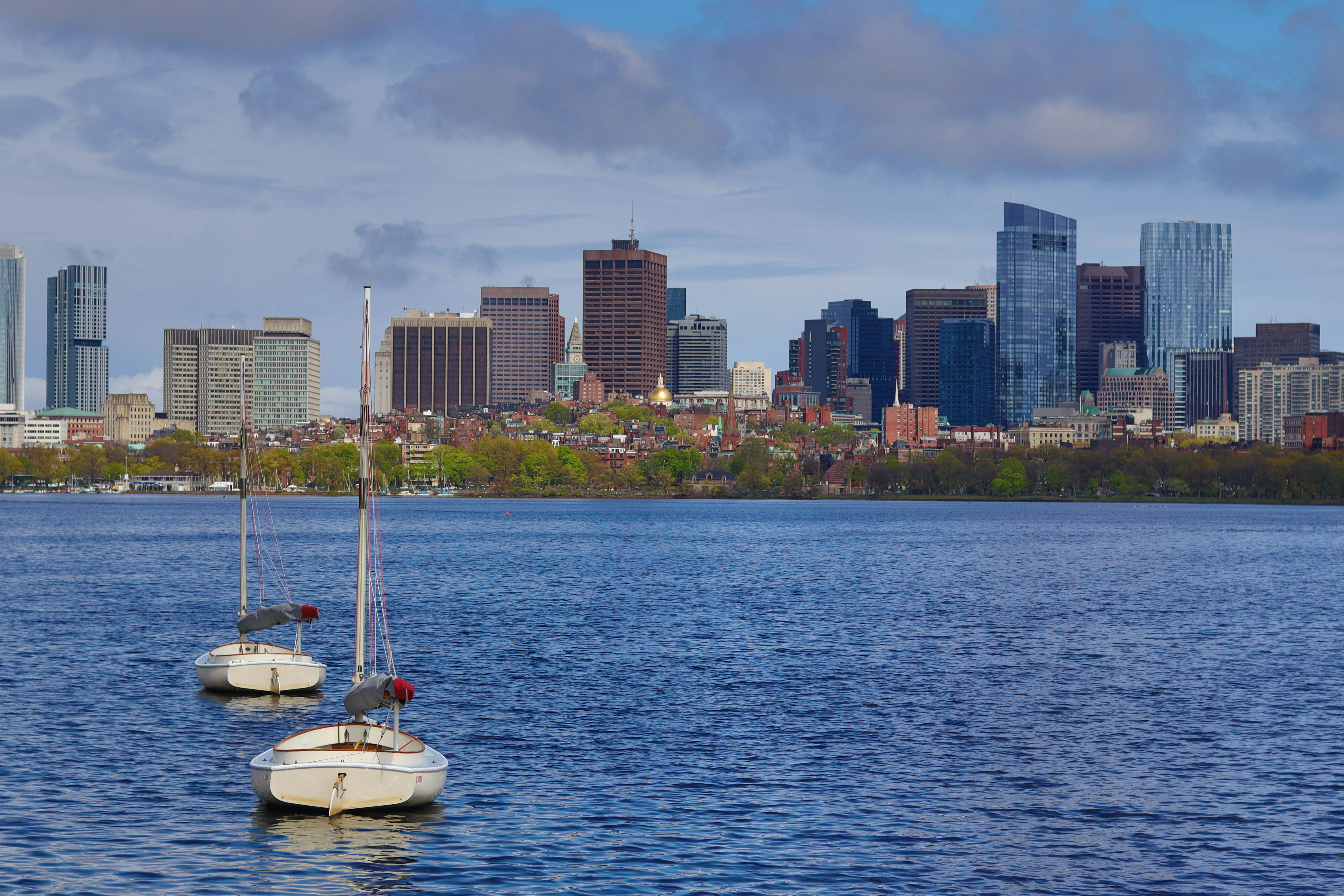 Photo by adamchandy2