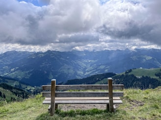 a wooden bench sitting on top of a lush green hillside