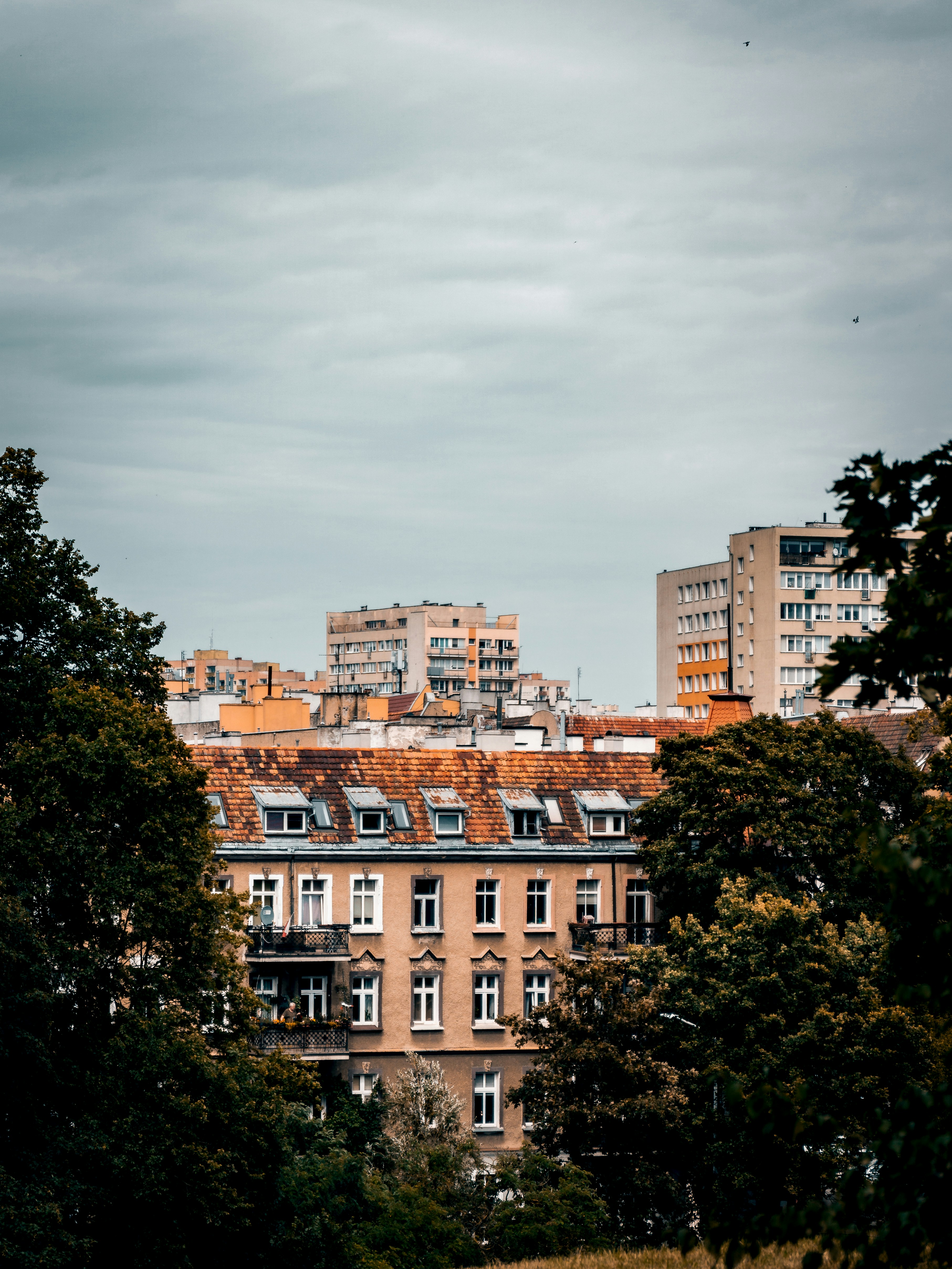 Photo by bielej