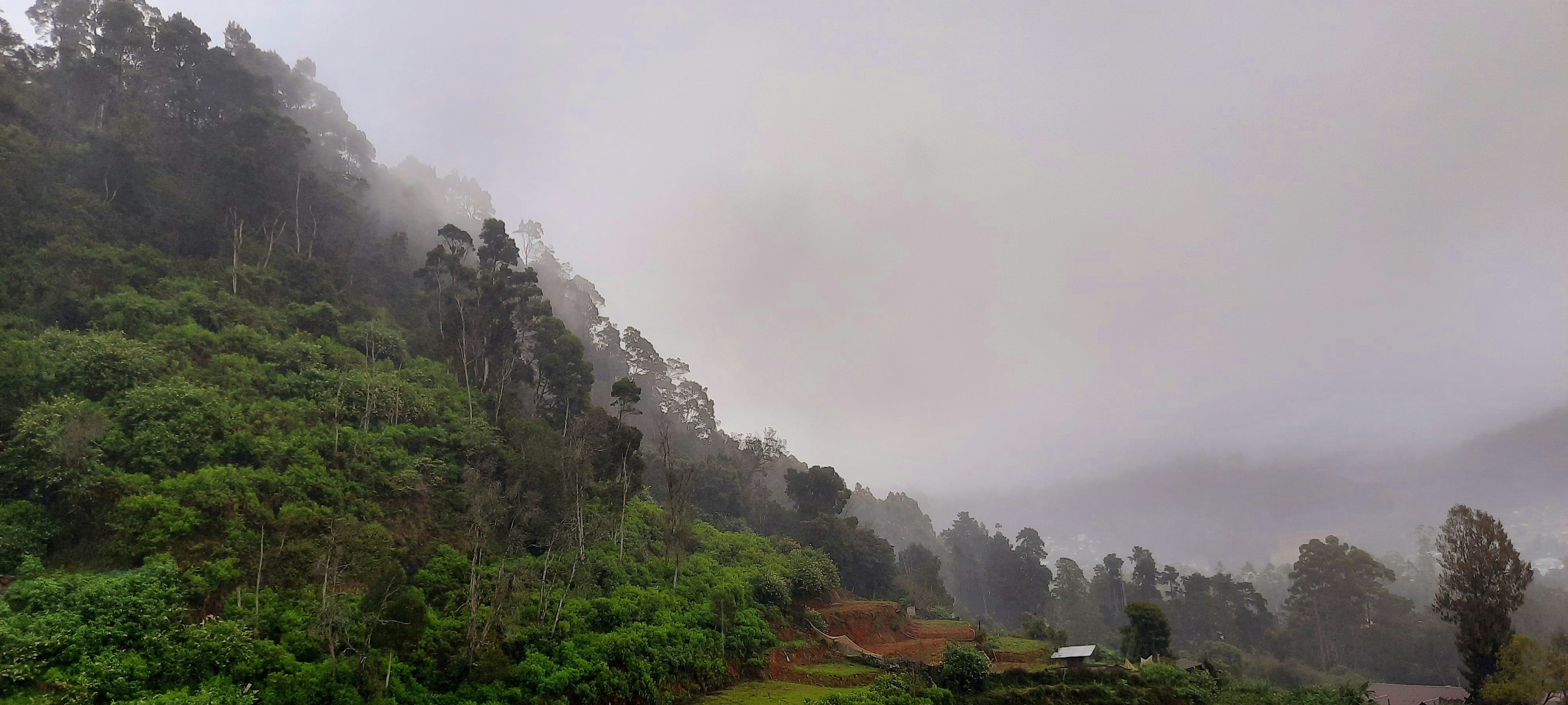 Photo by zeenathmariyam