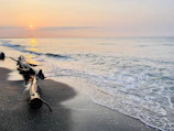 A serene beach at sunset with driftwood and gentle waves on Vancouver Island.