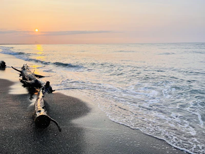 A serene beach at sunset with driftwood and gentle waves on Vancouver Island.