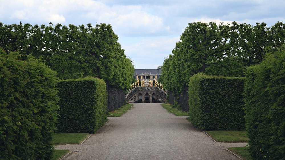 a walkway lined with trees leading to a building