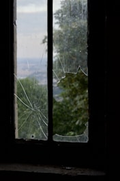 a broken window with a view of a forest