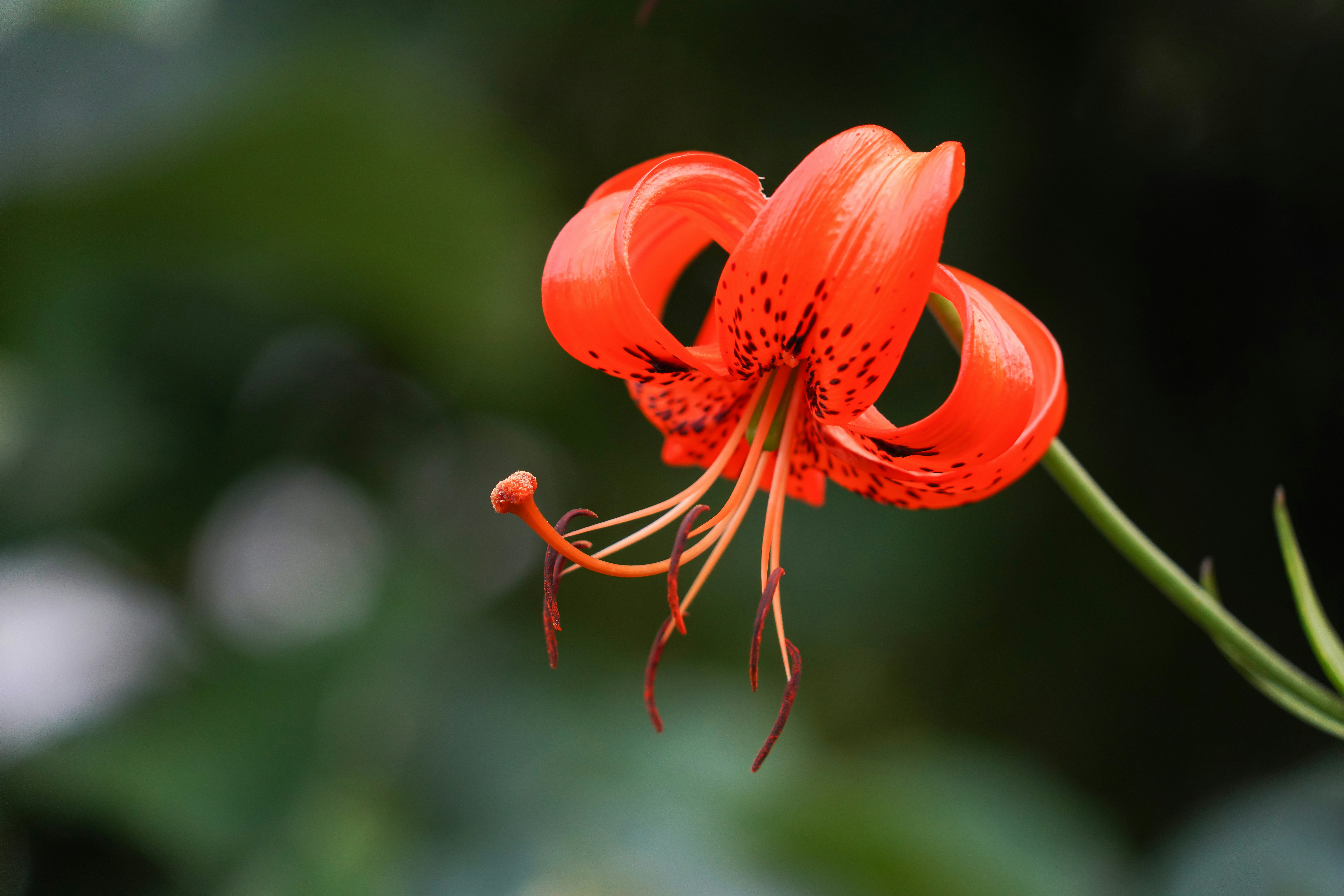 Photo by kim_dae_jeung