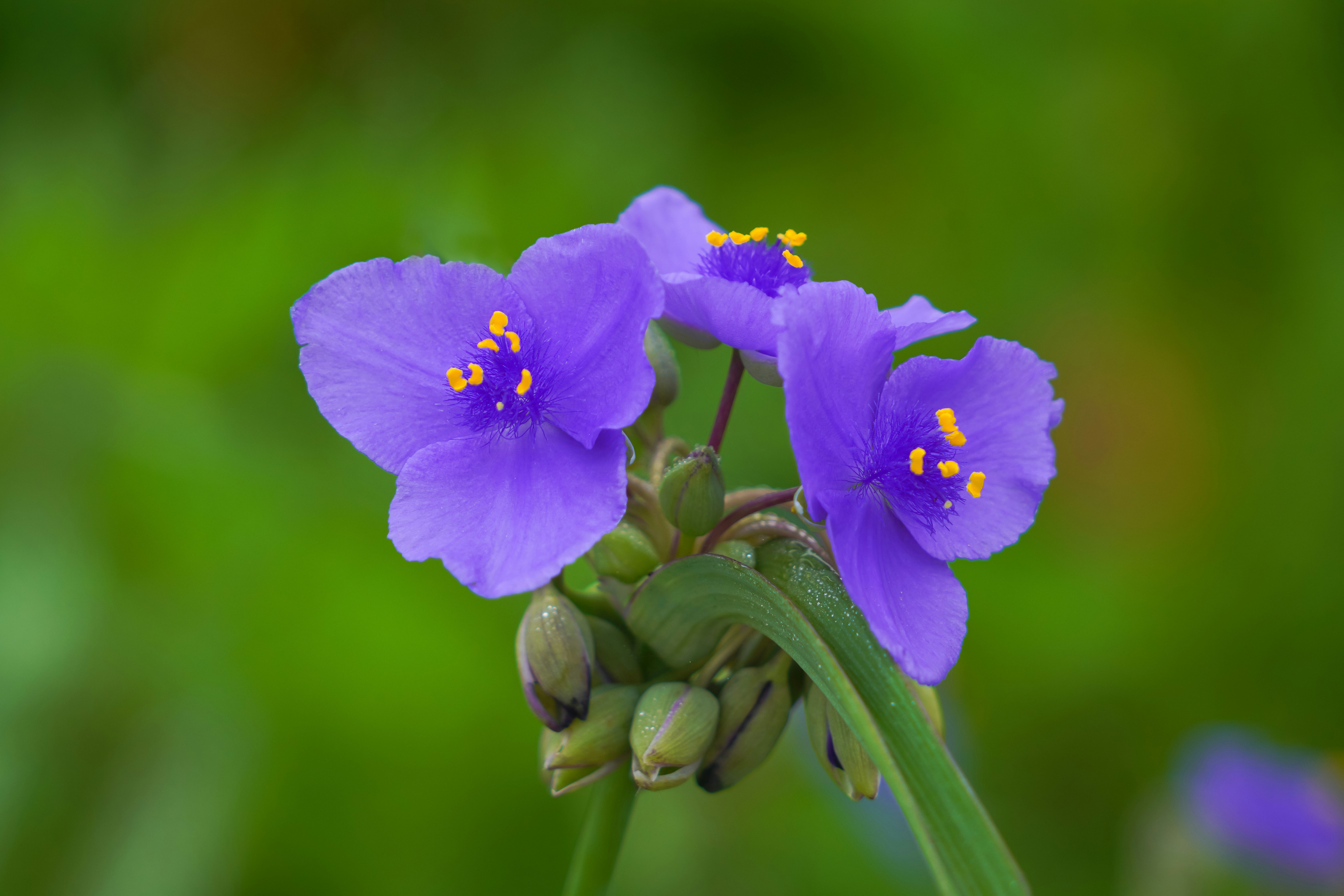 Photo by kim_dae_jeung