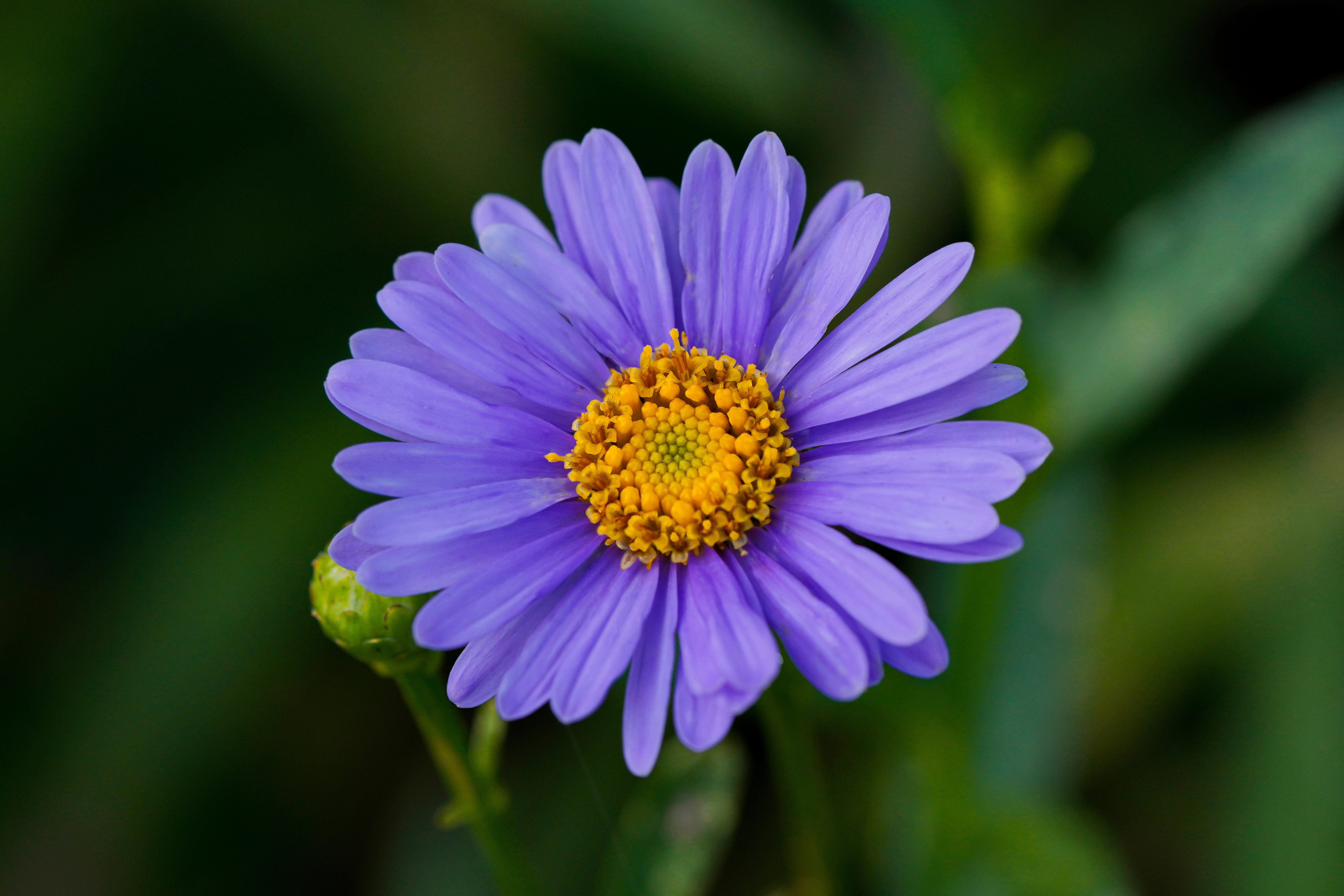 Photo by kim_dae_jeung