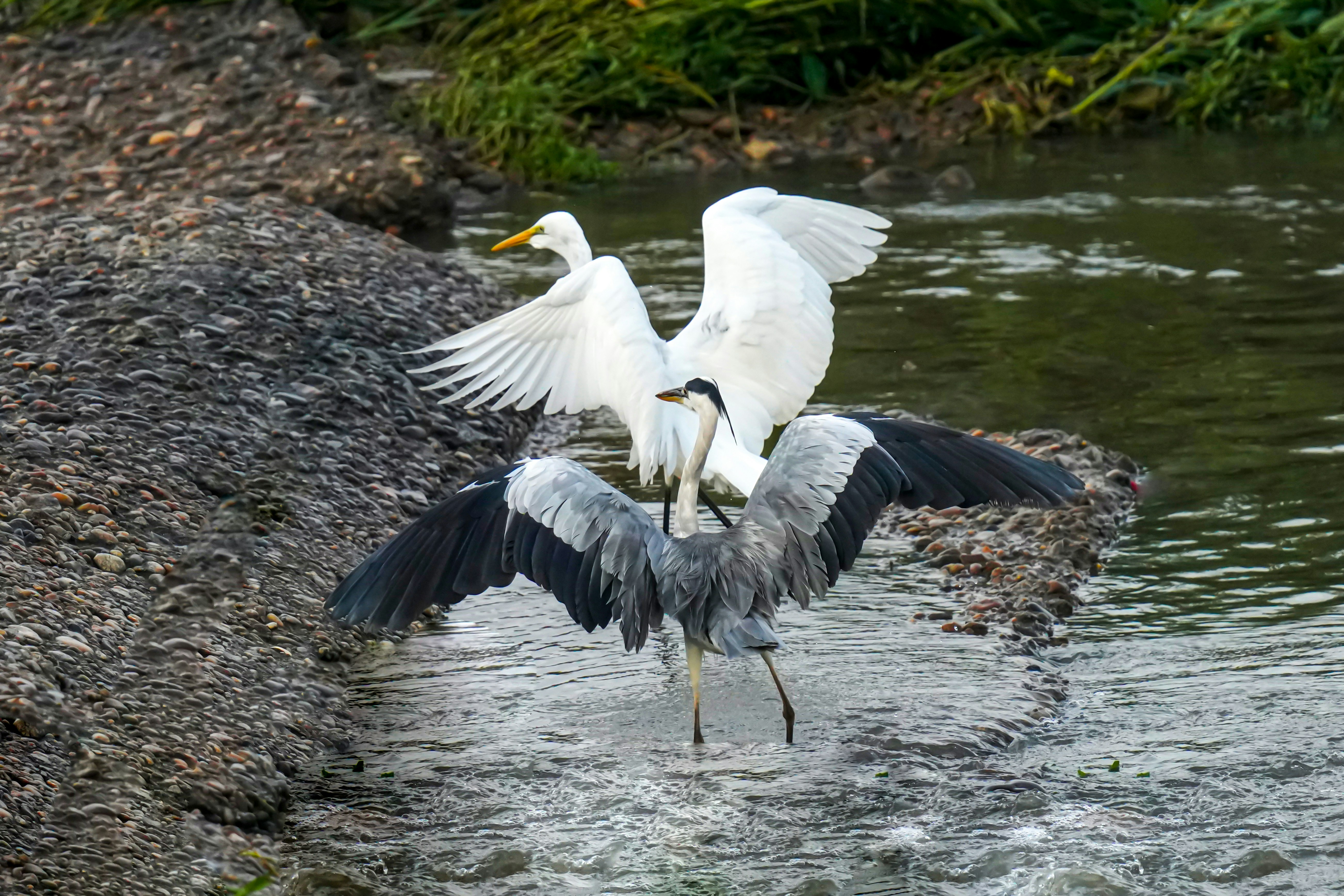 Photo by kim_dae_jeung