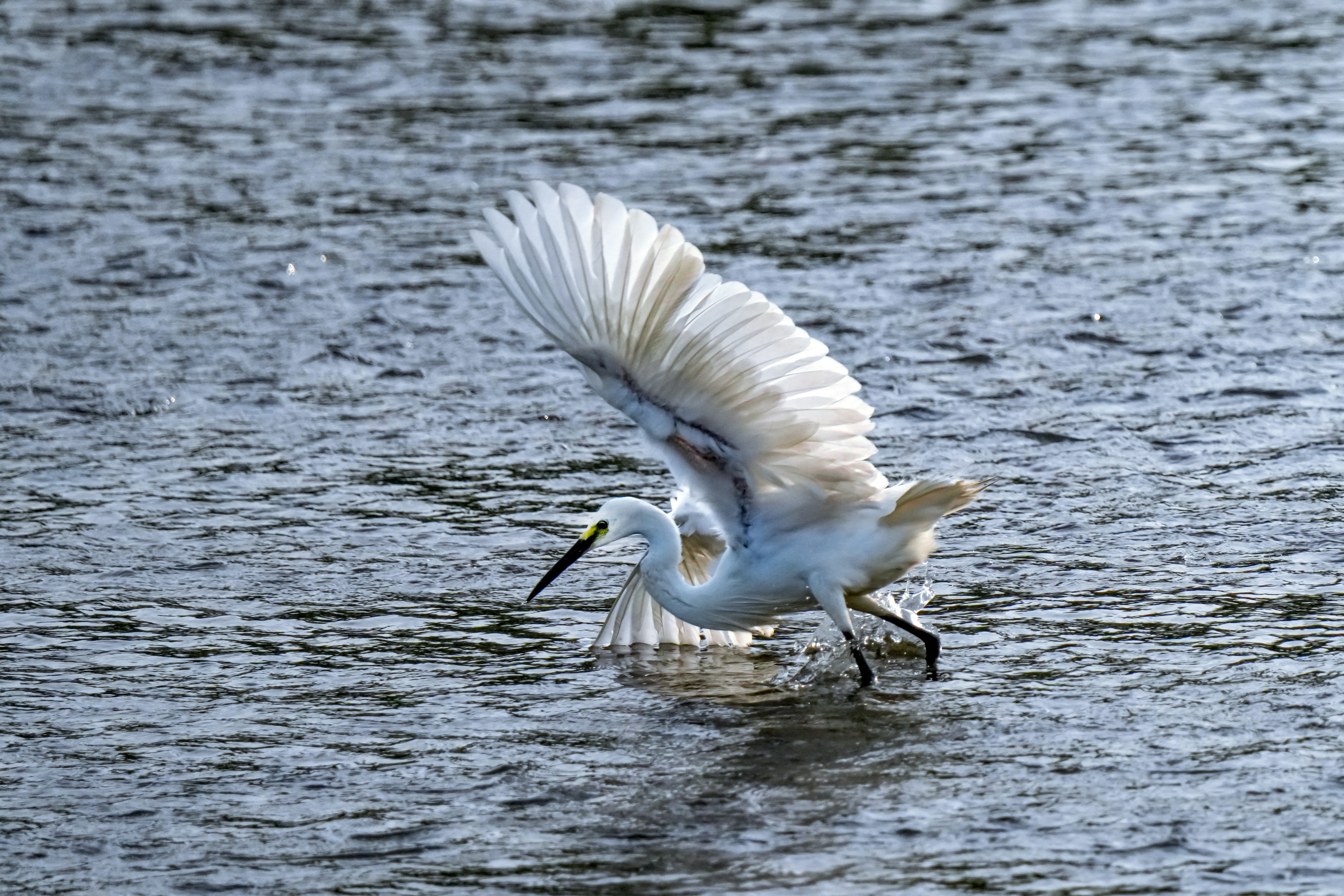 Photo by kim_dae_jeung