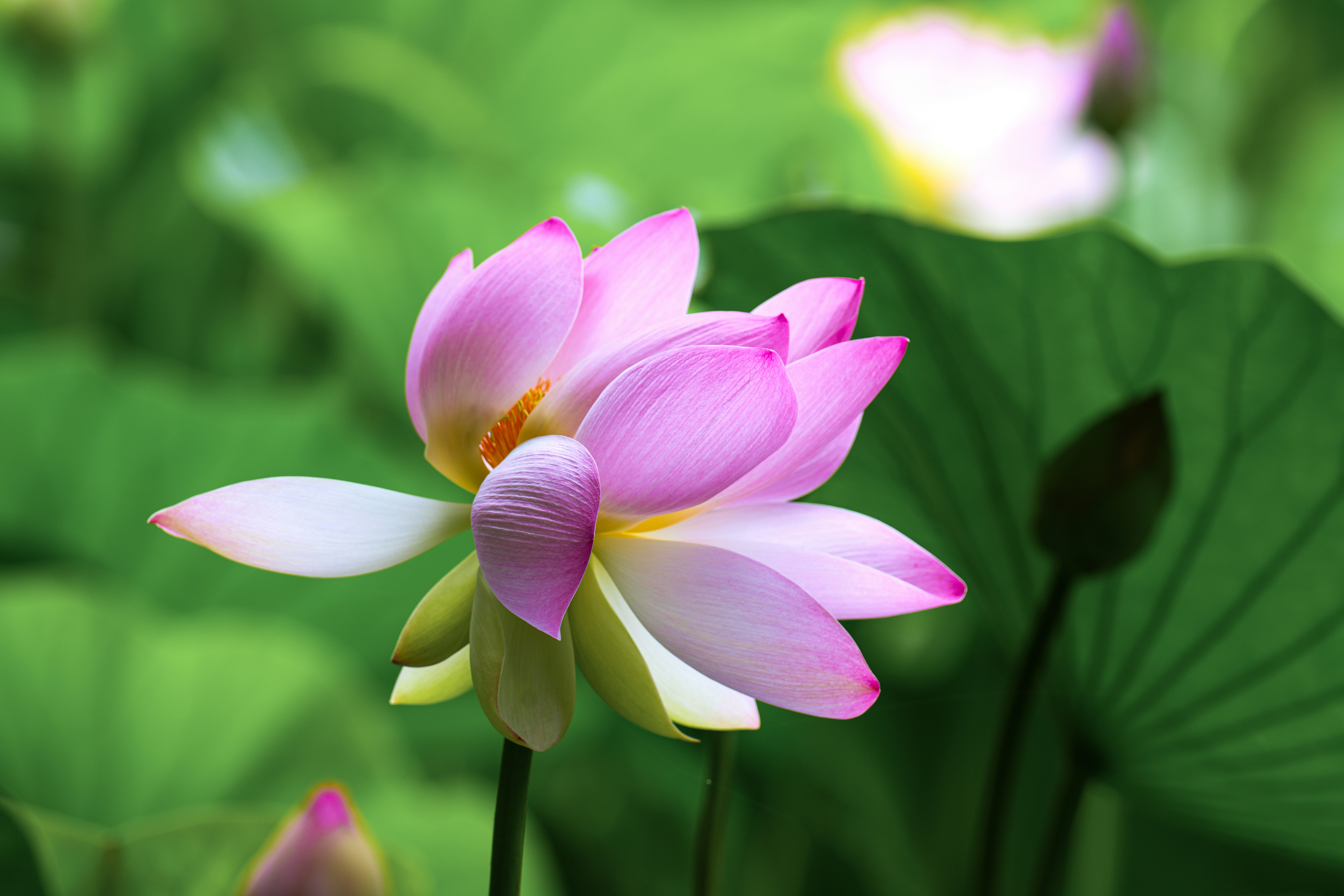 Photo by kim_dae_jeung