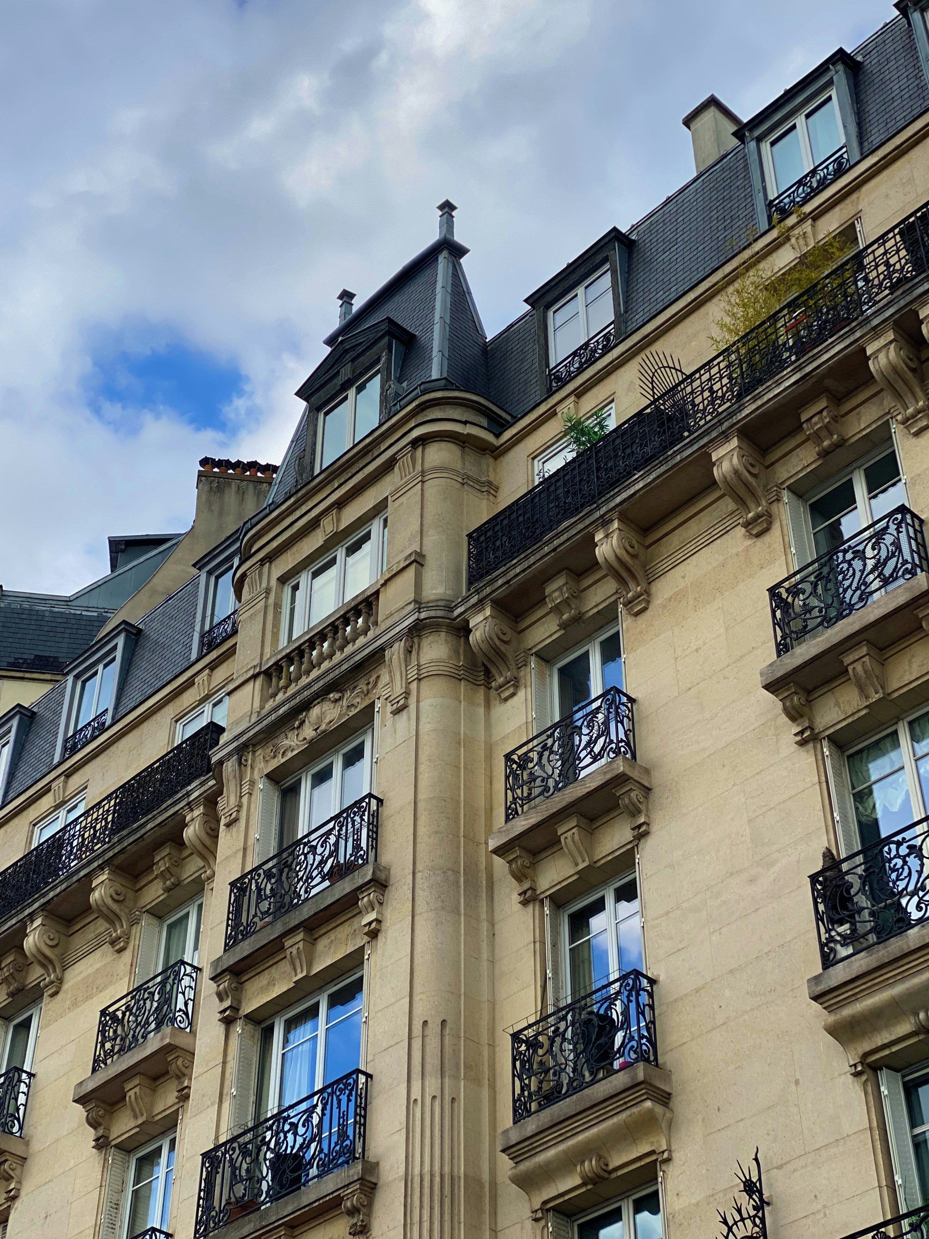 Photo by byalinefroess