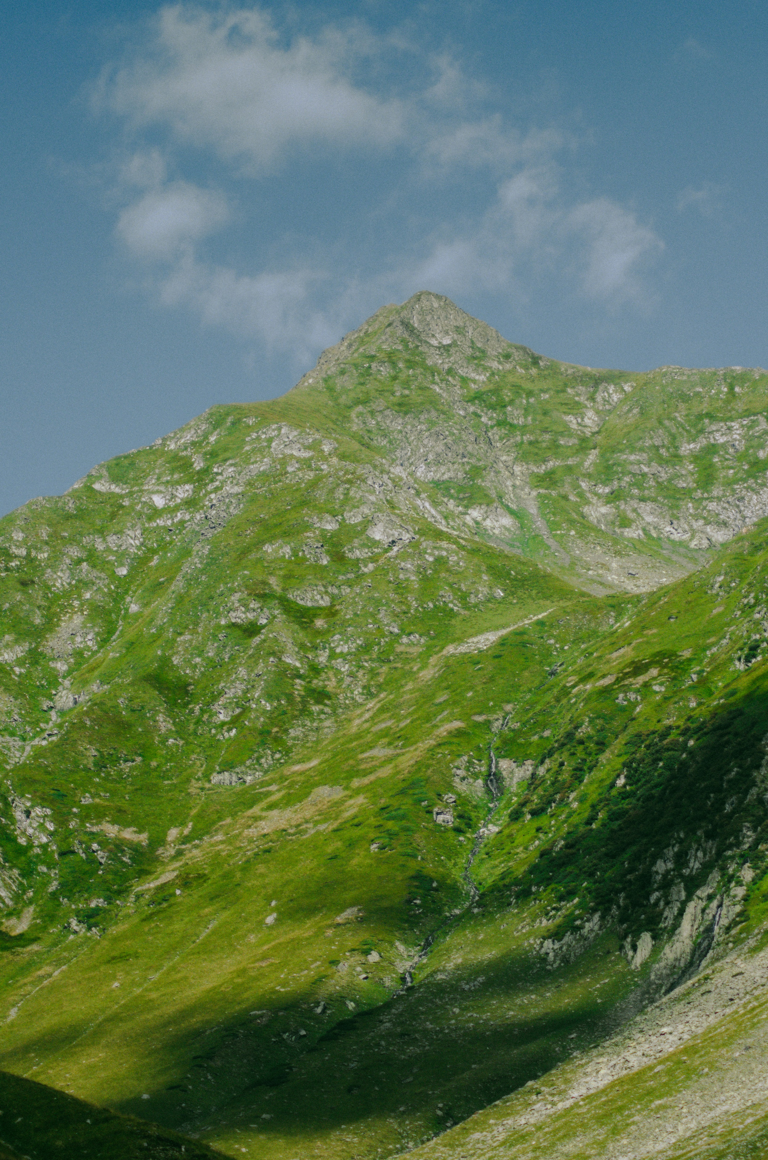 Photo by madalinanedelea06