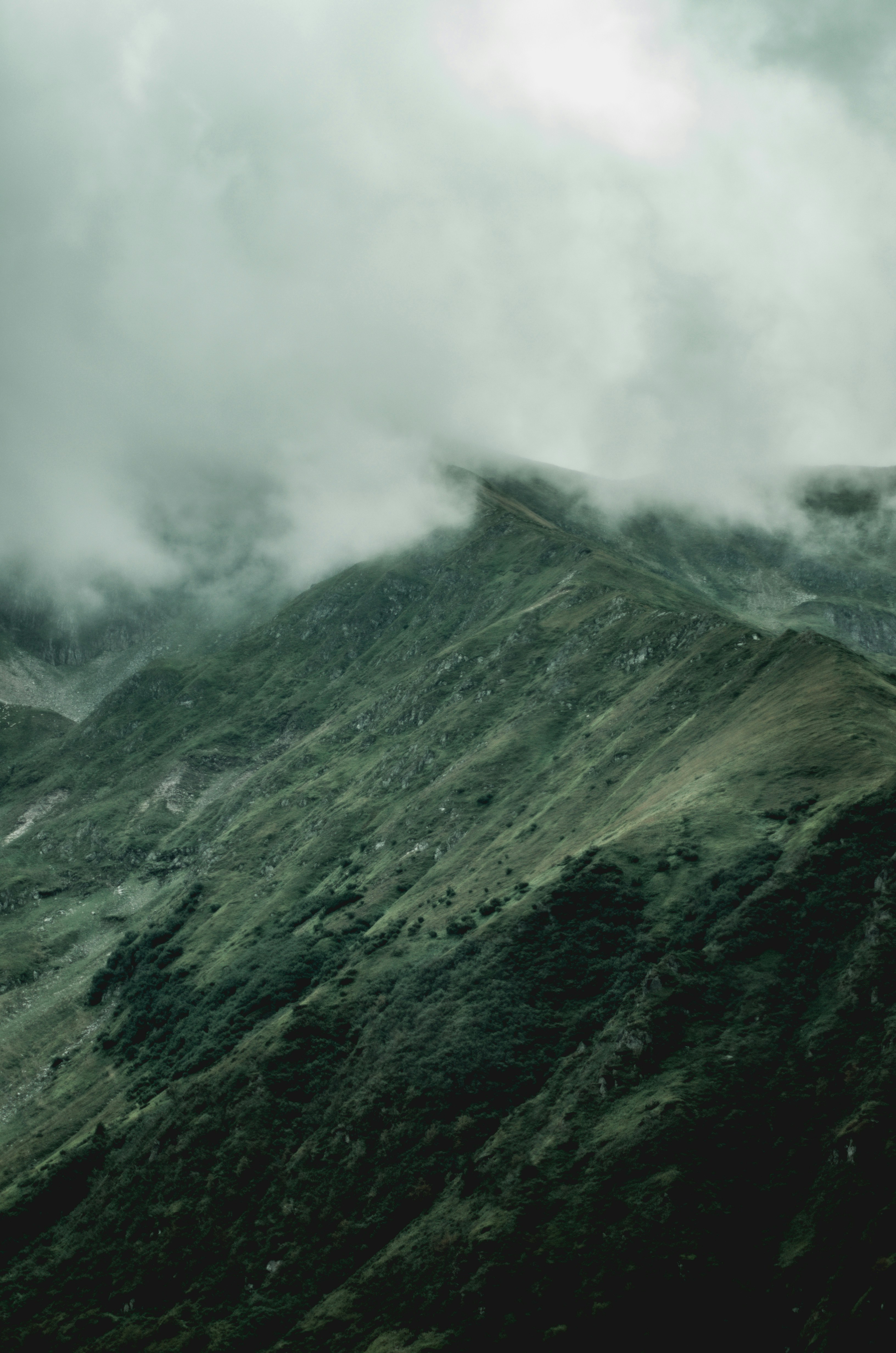 Photo by madalinanedelea06