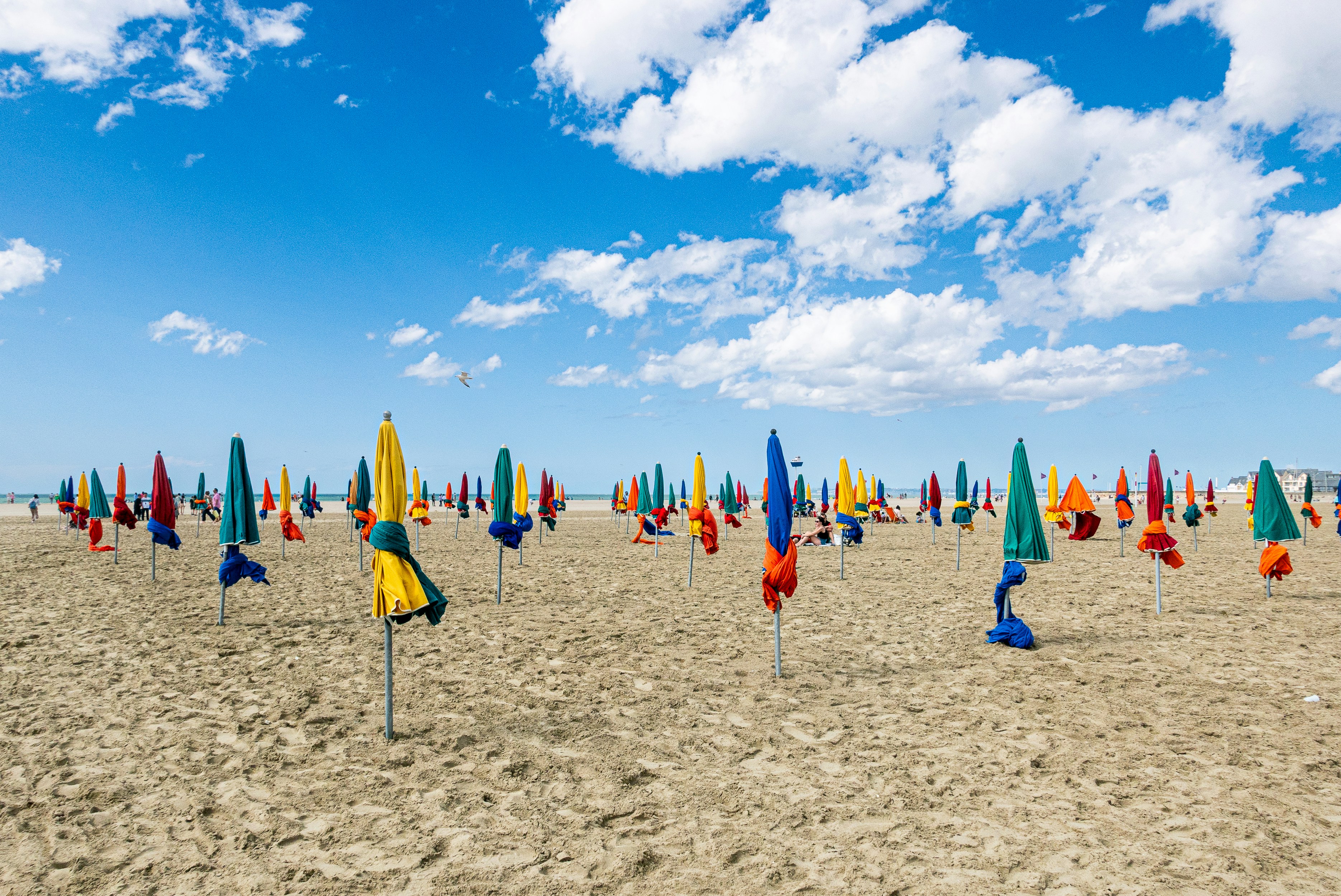 a bunch of umbrellas that are in the sand