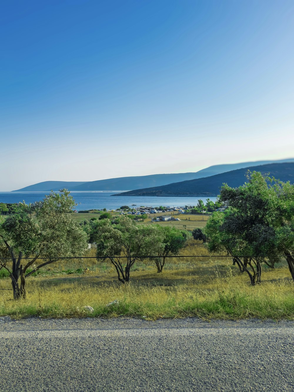 a field with trees and a body of water in the distance