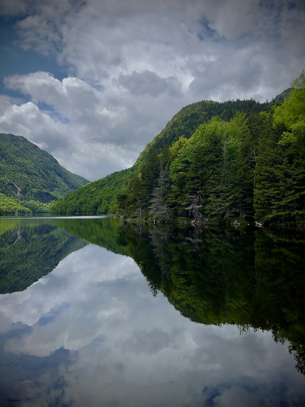 a large body of water surrounded by a forest