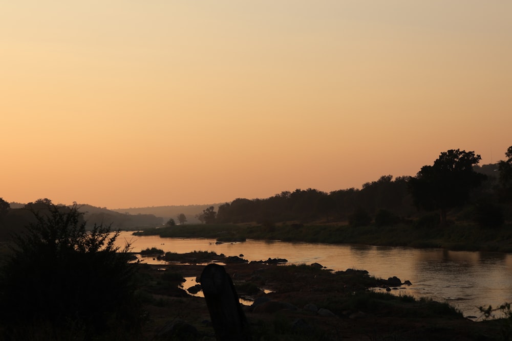 a body of water surrounded by trees and grass