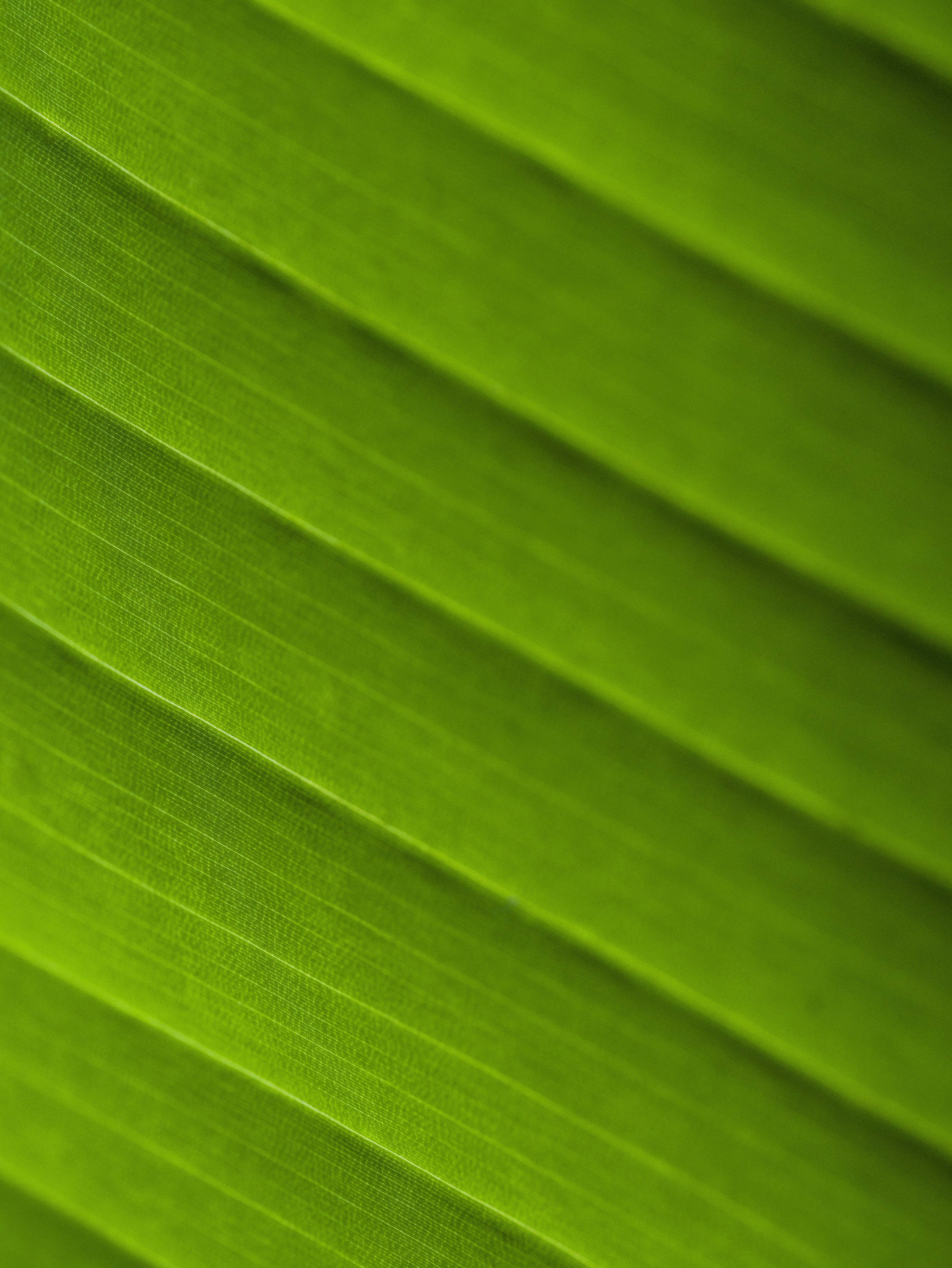 Photo by maxence_pira