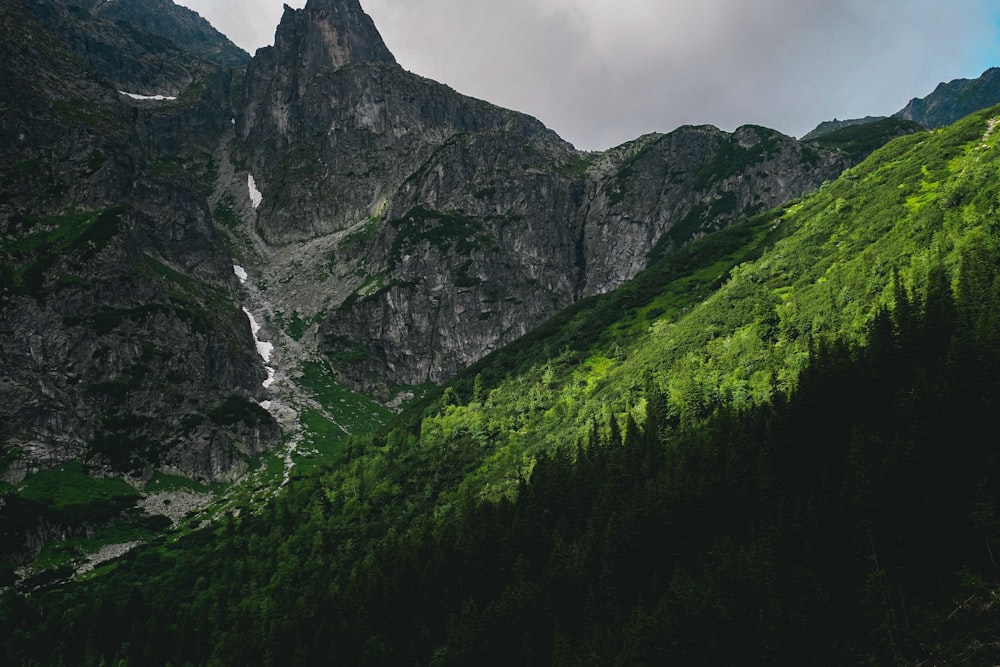 a view of a mountain with a forest below