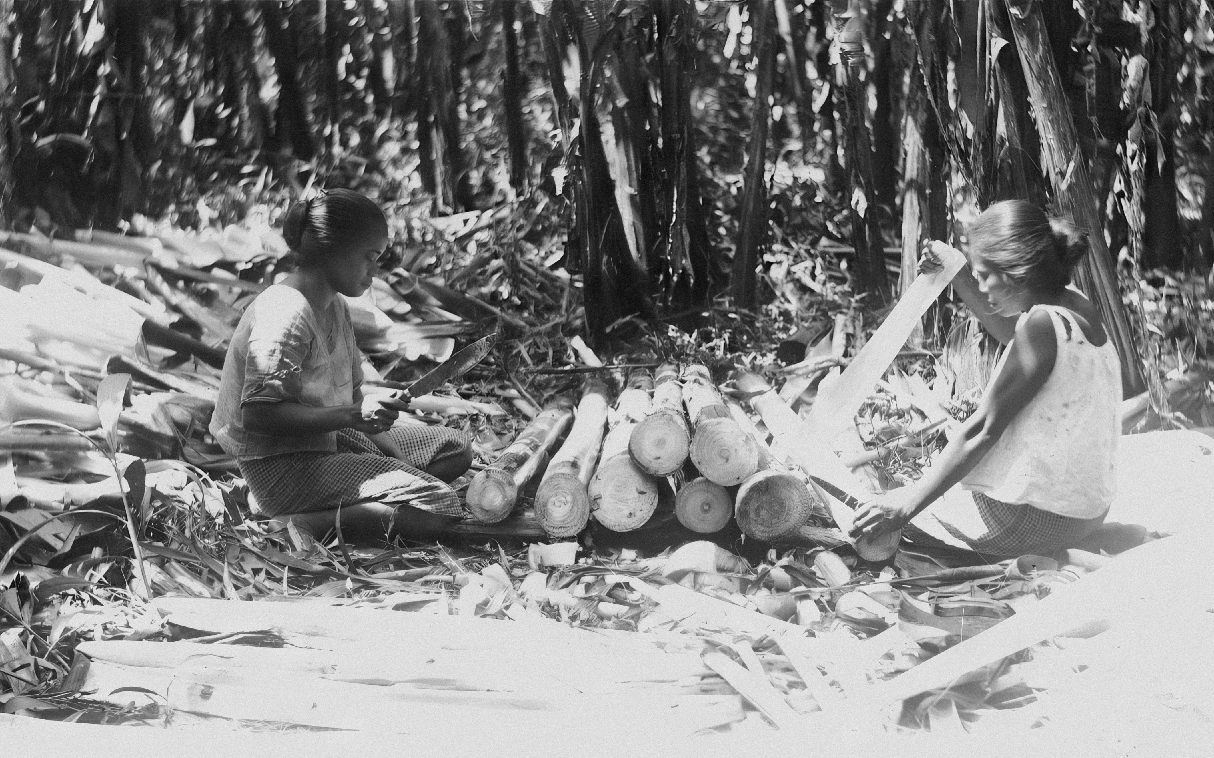 Photo by vestfoldmuseene