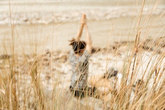 a person standing in a field of tall grass