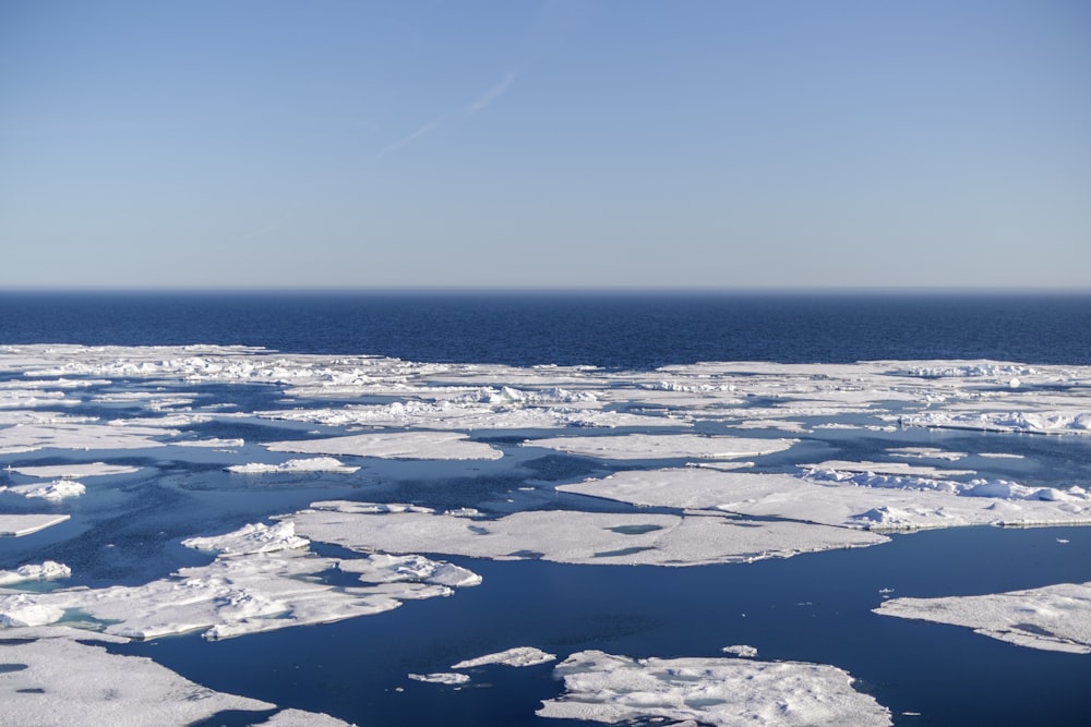 a large amount of ice floating on top of a body of water