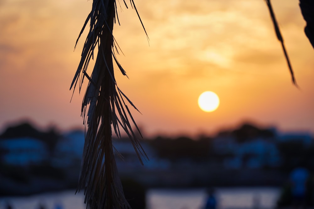 the sun is setting over a body of water