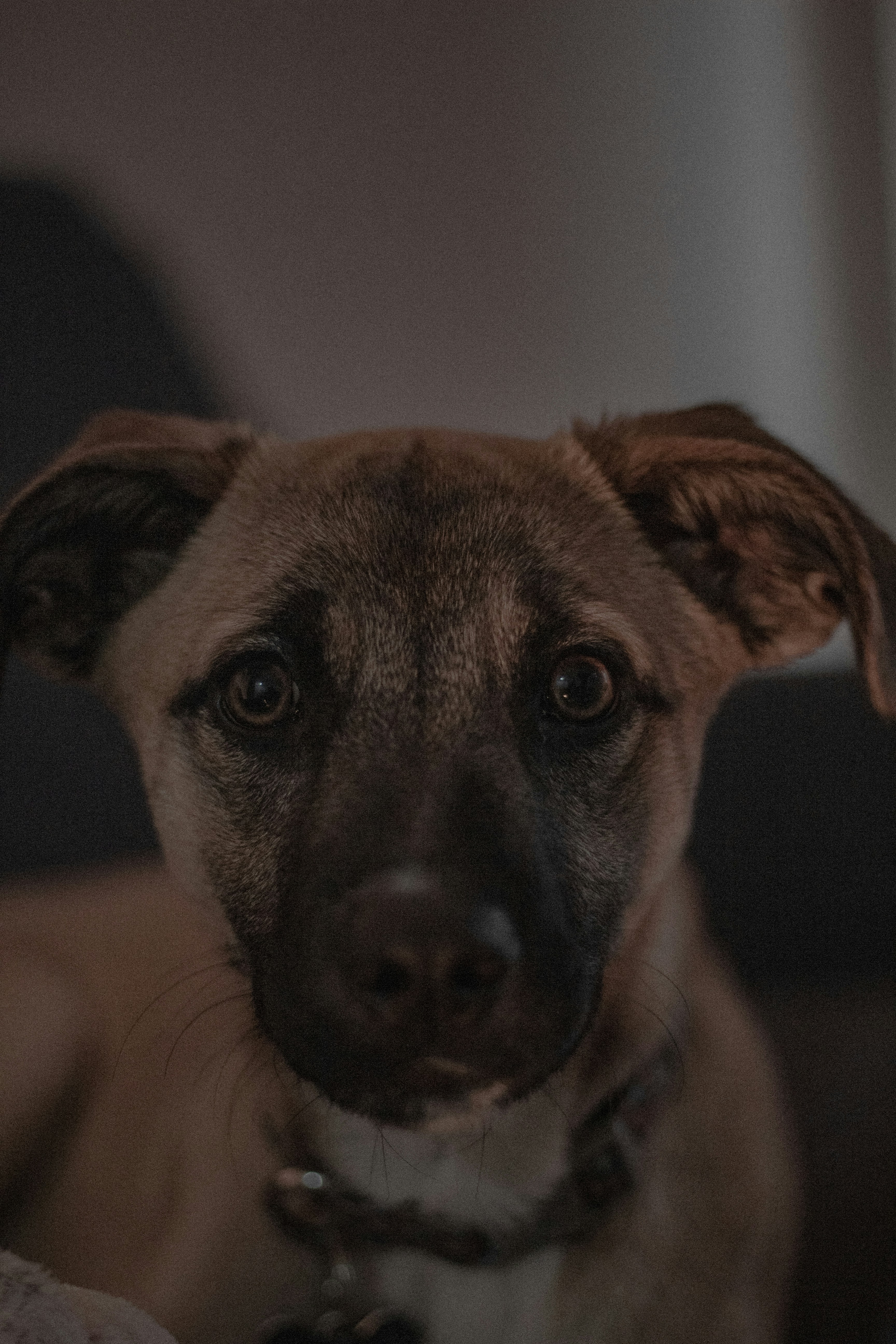 Photo by rodrigosv