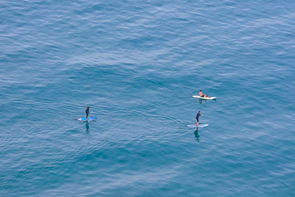 a couple of people on surfboards in the water