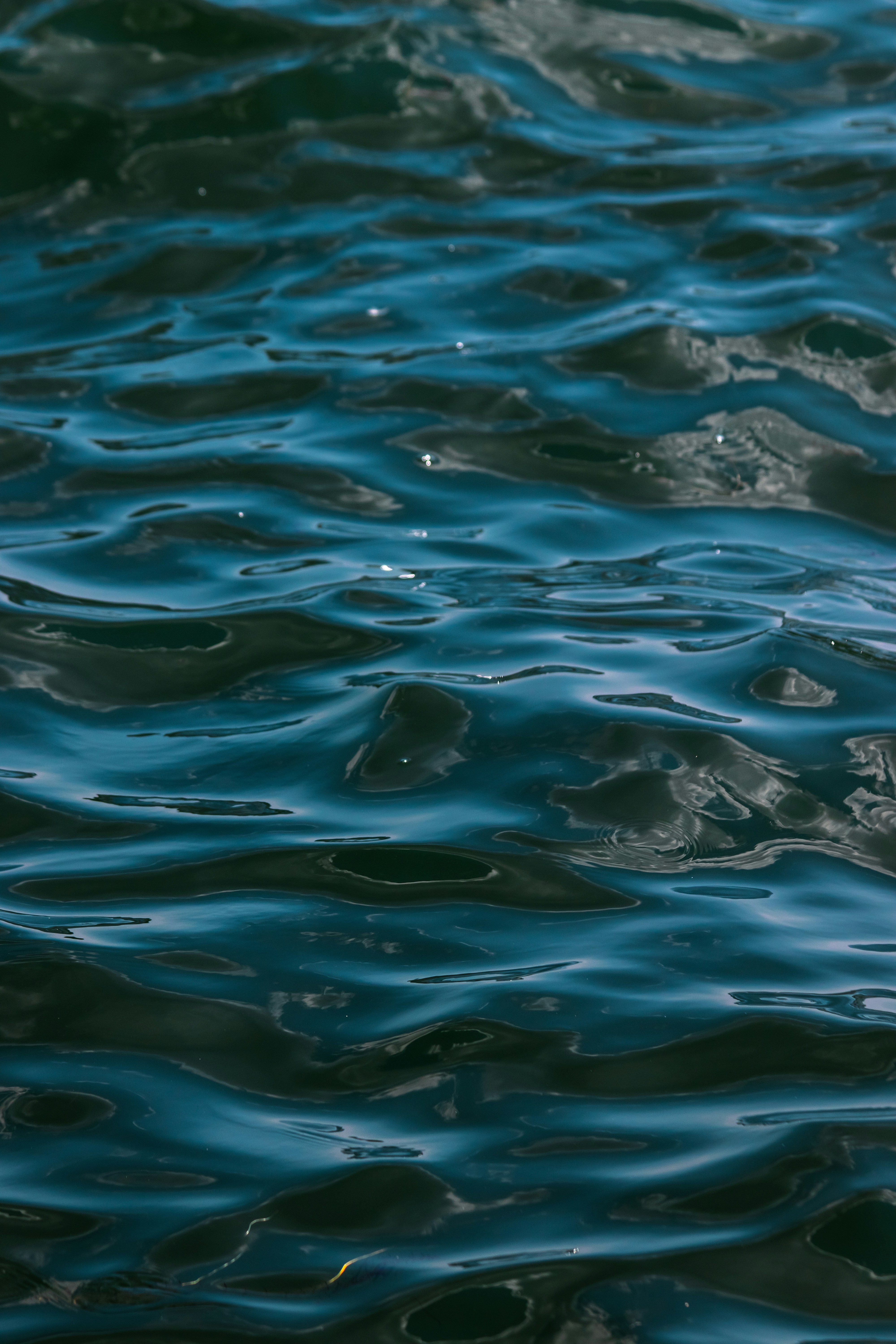 Photo by sinabahar76