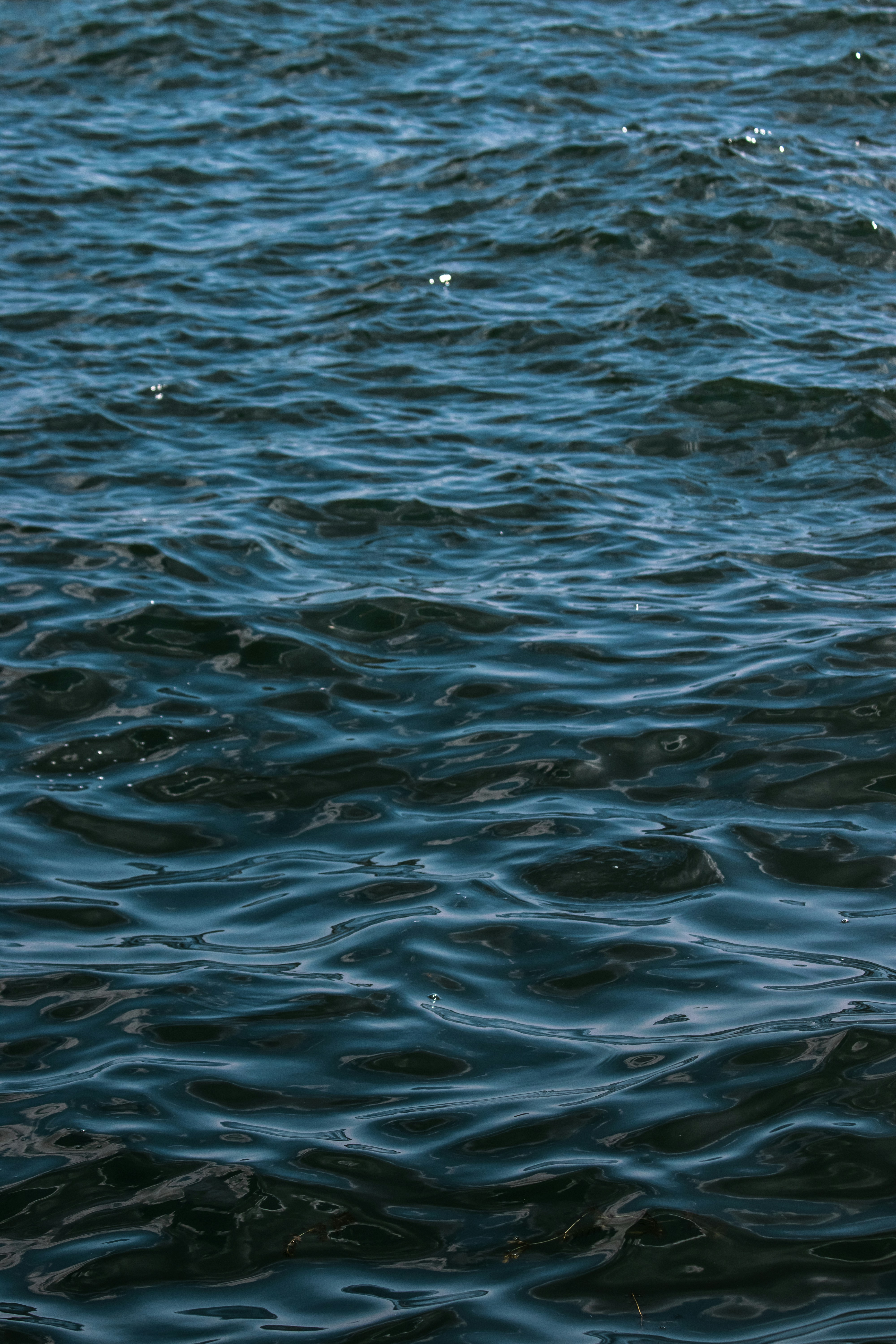 Photo by sinabahar76